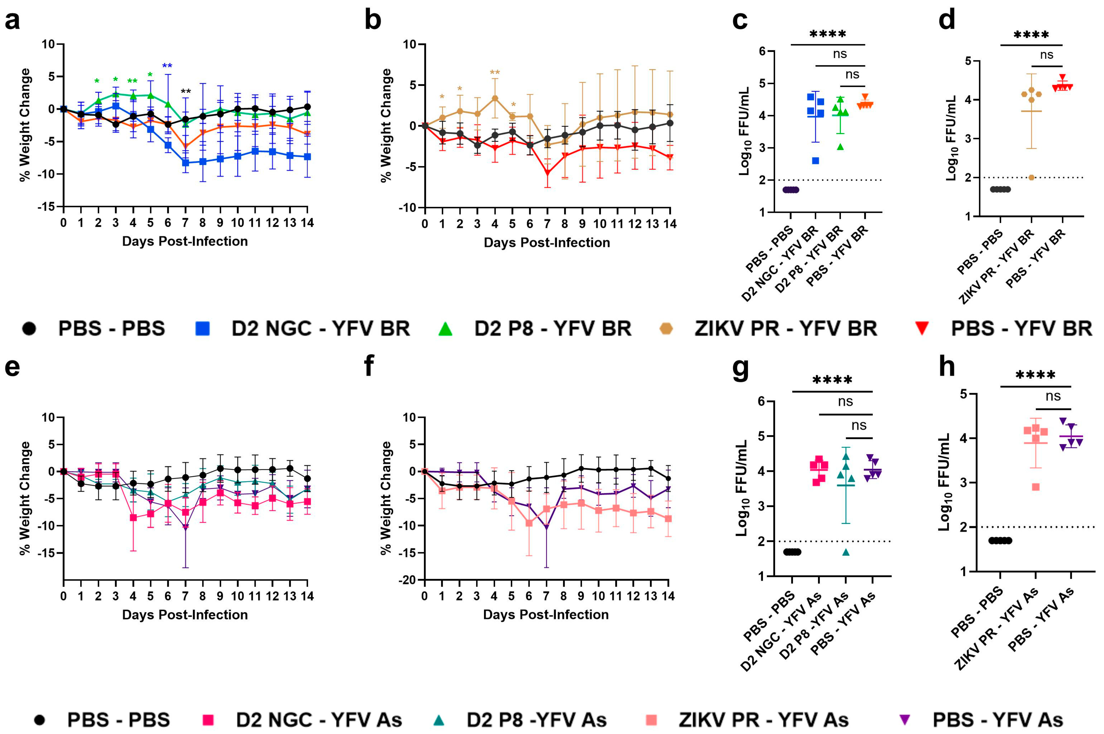 Viruses 16 00836 g005
