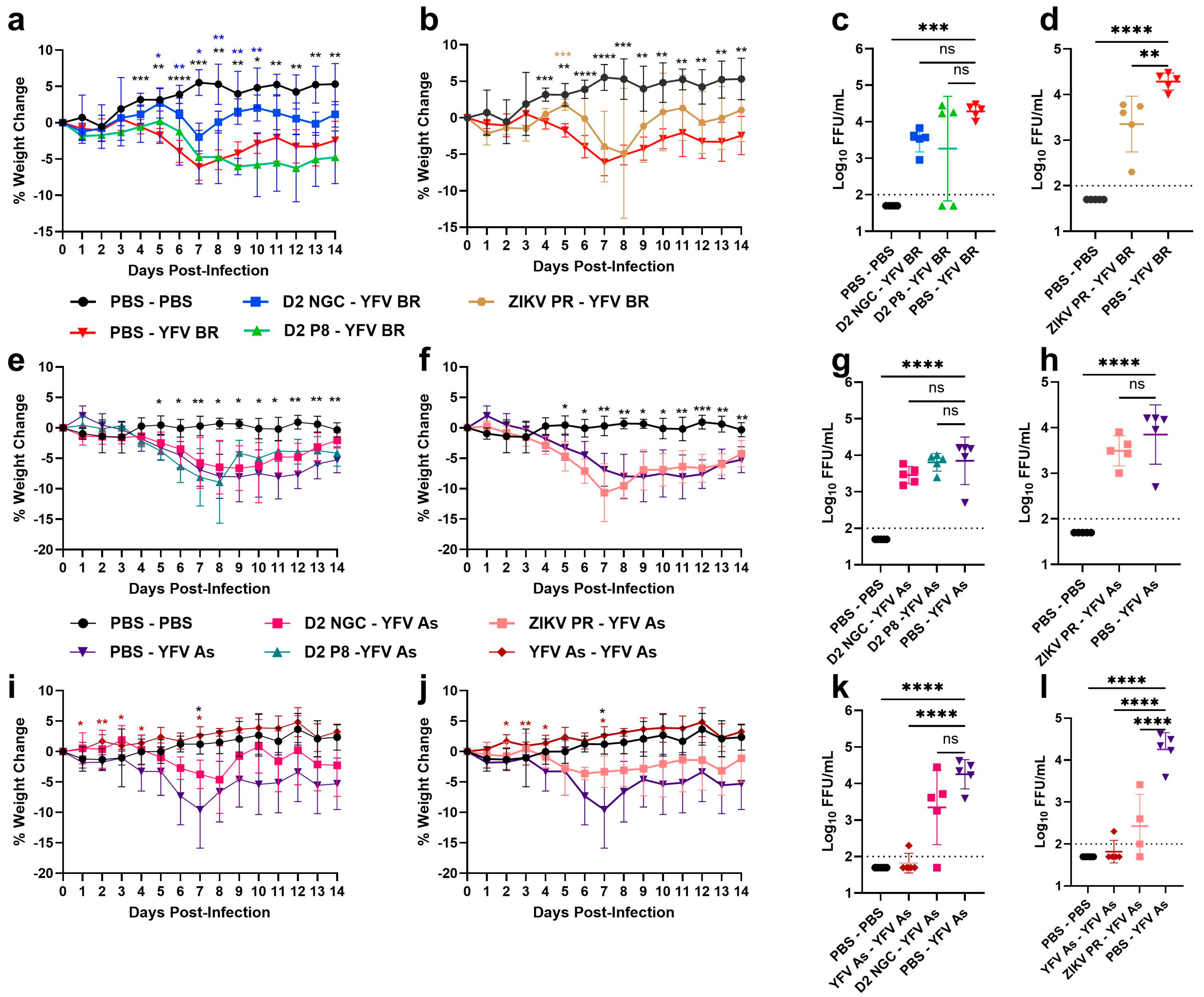 Viruses 16 00836 g006