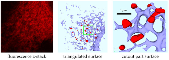 Viruses 16 00840 g0a1