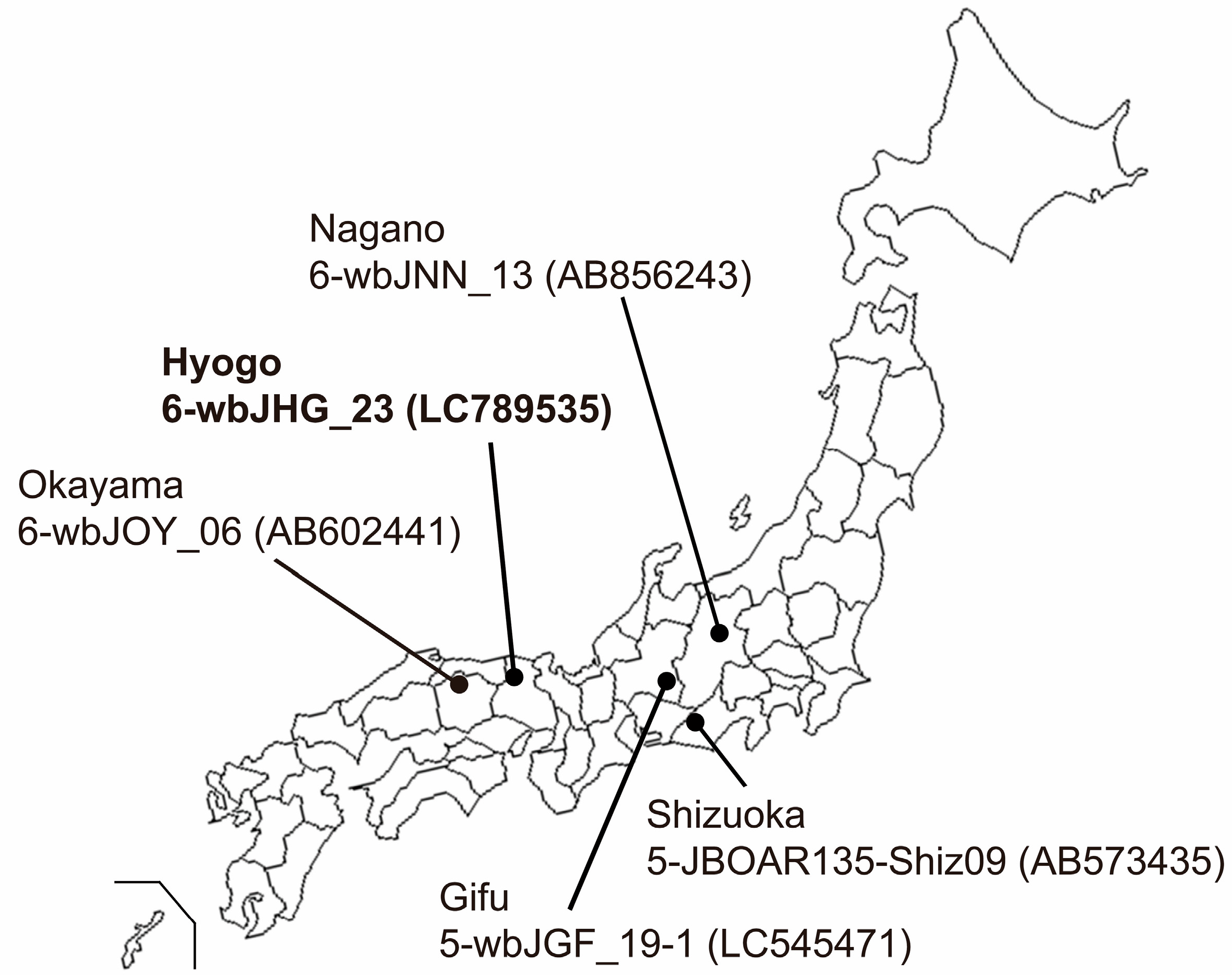 Viruses 16 00842 g001