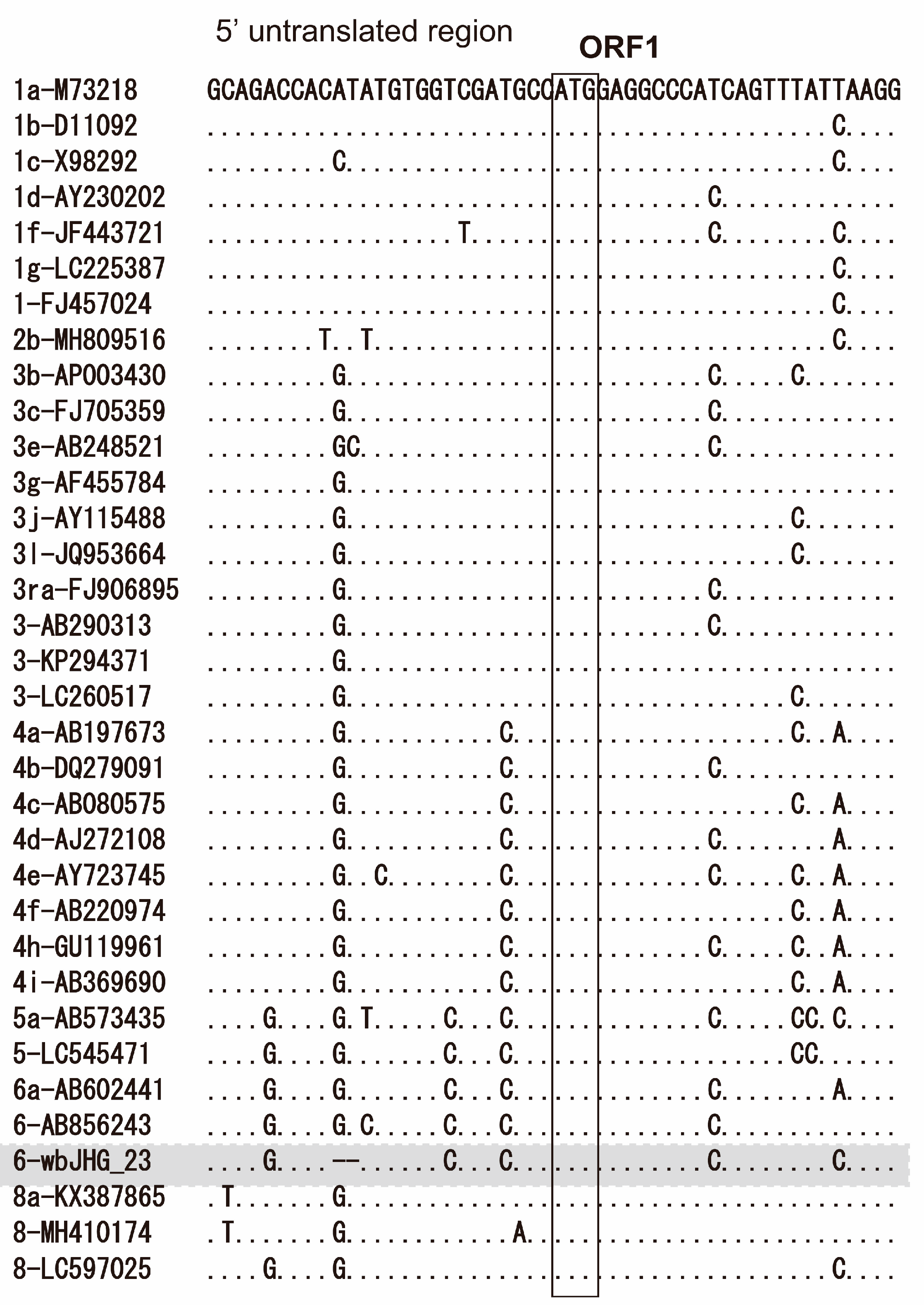 Viruses 16 00842 g002