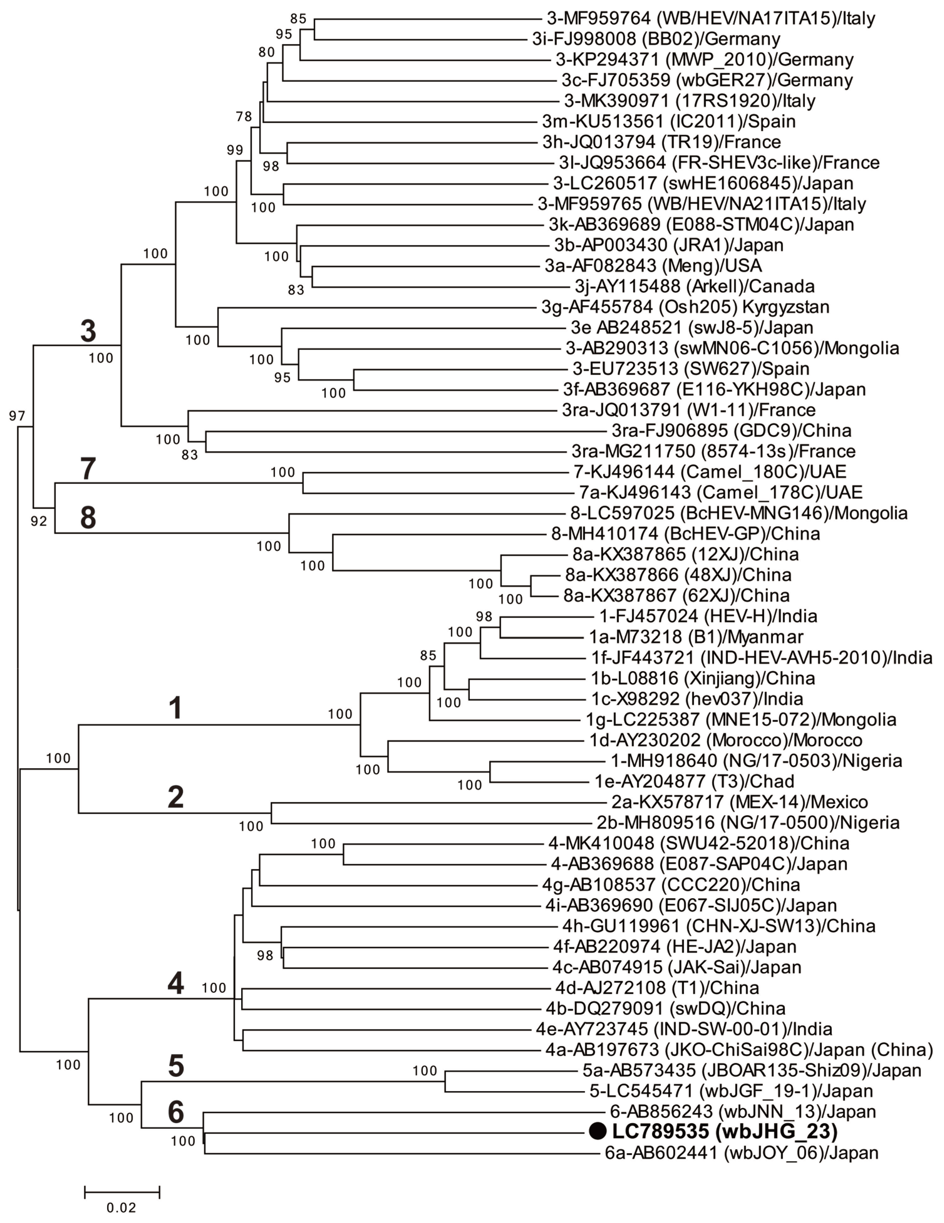 Viruses 16 00842 g003