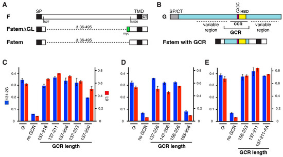 Viruses 16 00843 g001