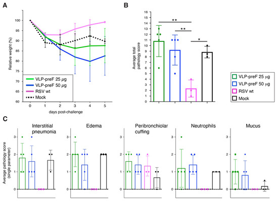 Viruses 16 00843 g007