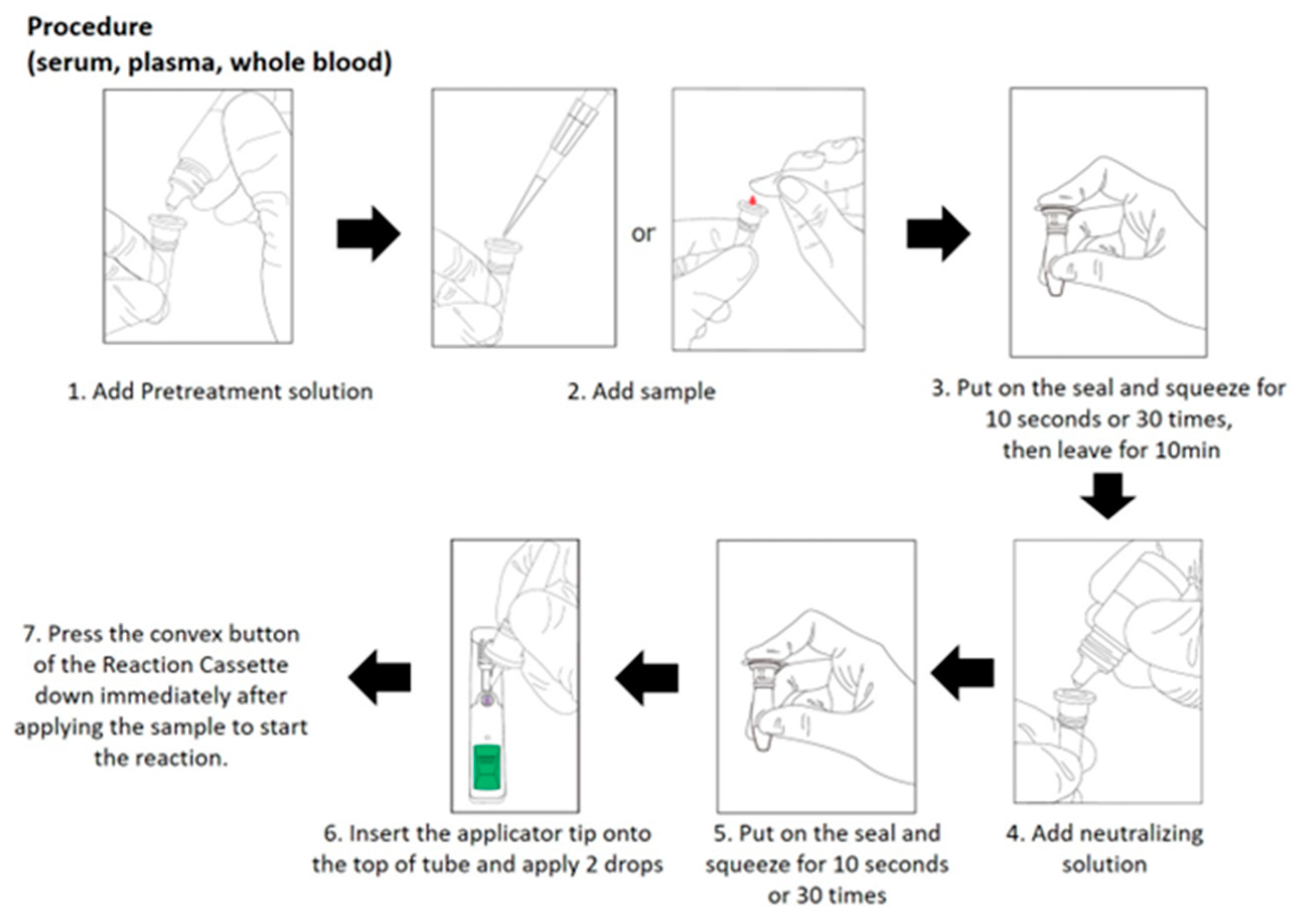 Viruses 16 00848 g002
