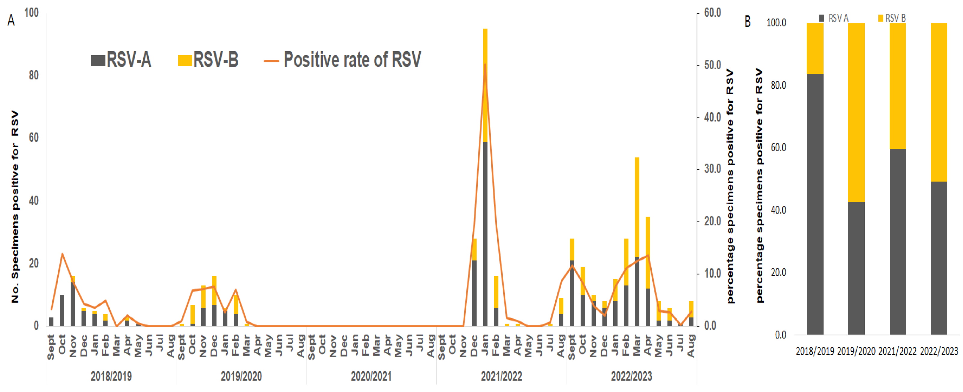 Viruses 16 00850 g001