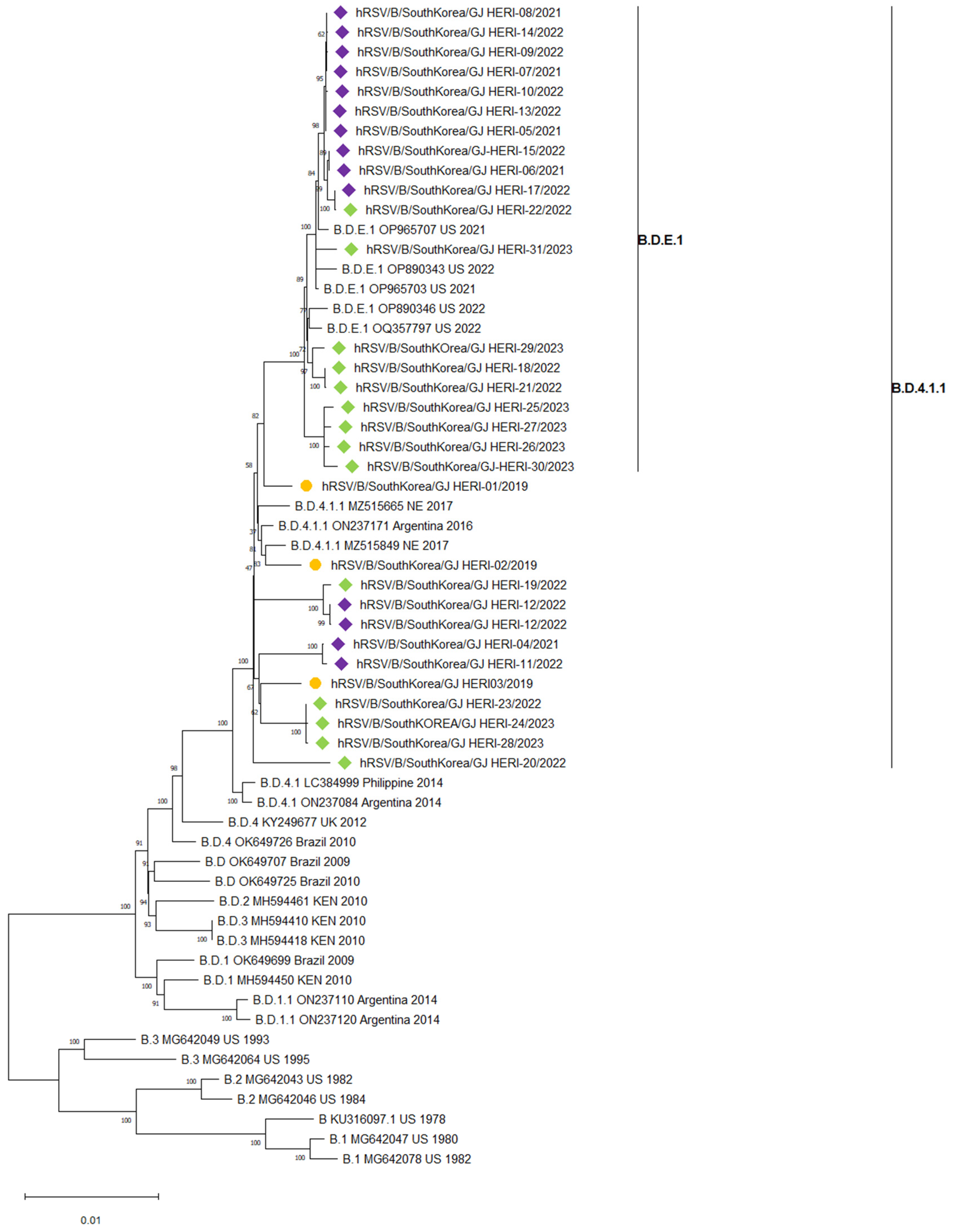 Viruses 16 00850 g003