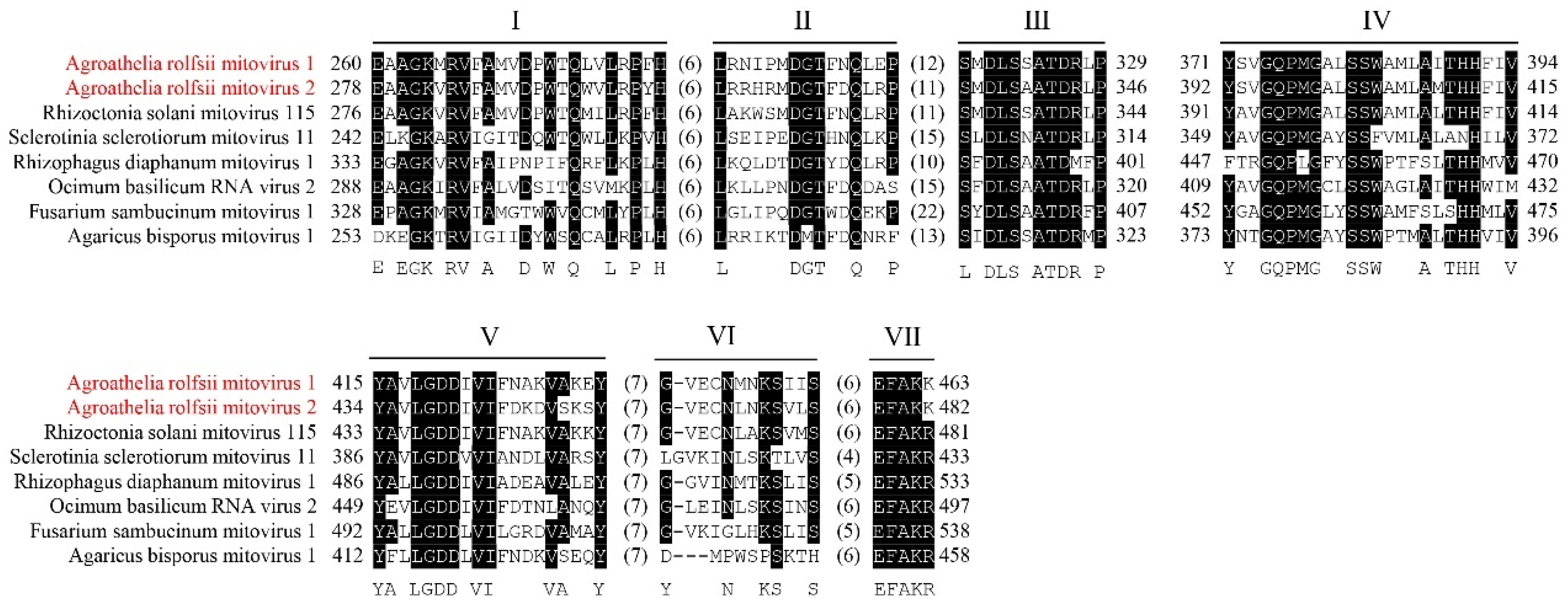 Viruses 16 00854 g002