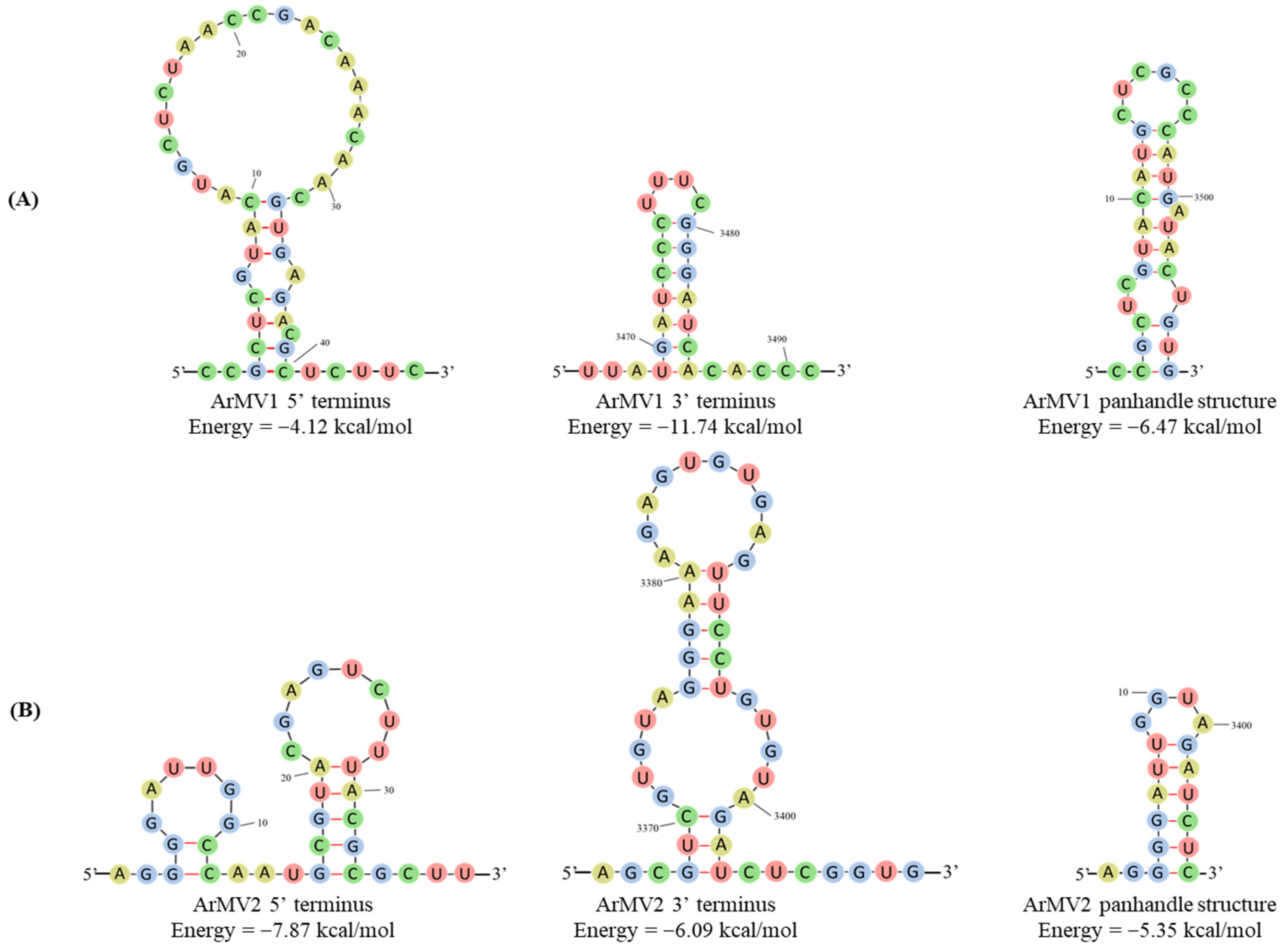 Viruses 16 00854 g004
