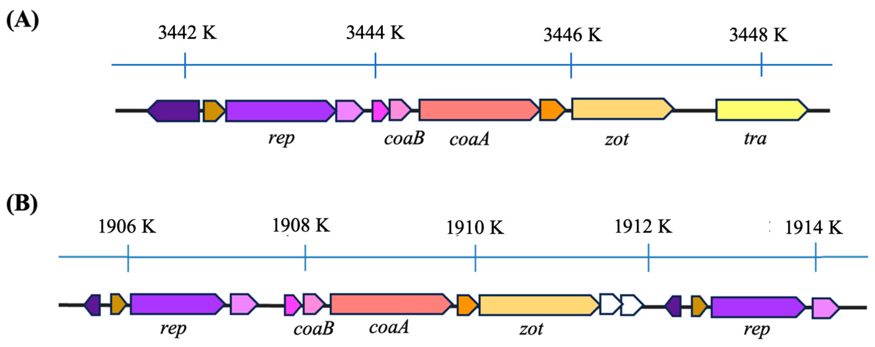Viruses 16 00857 g003