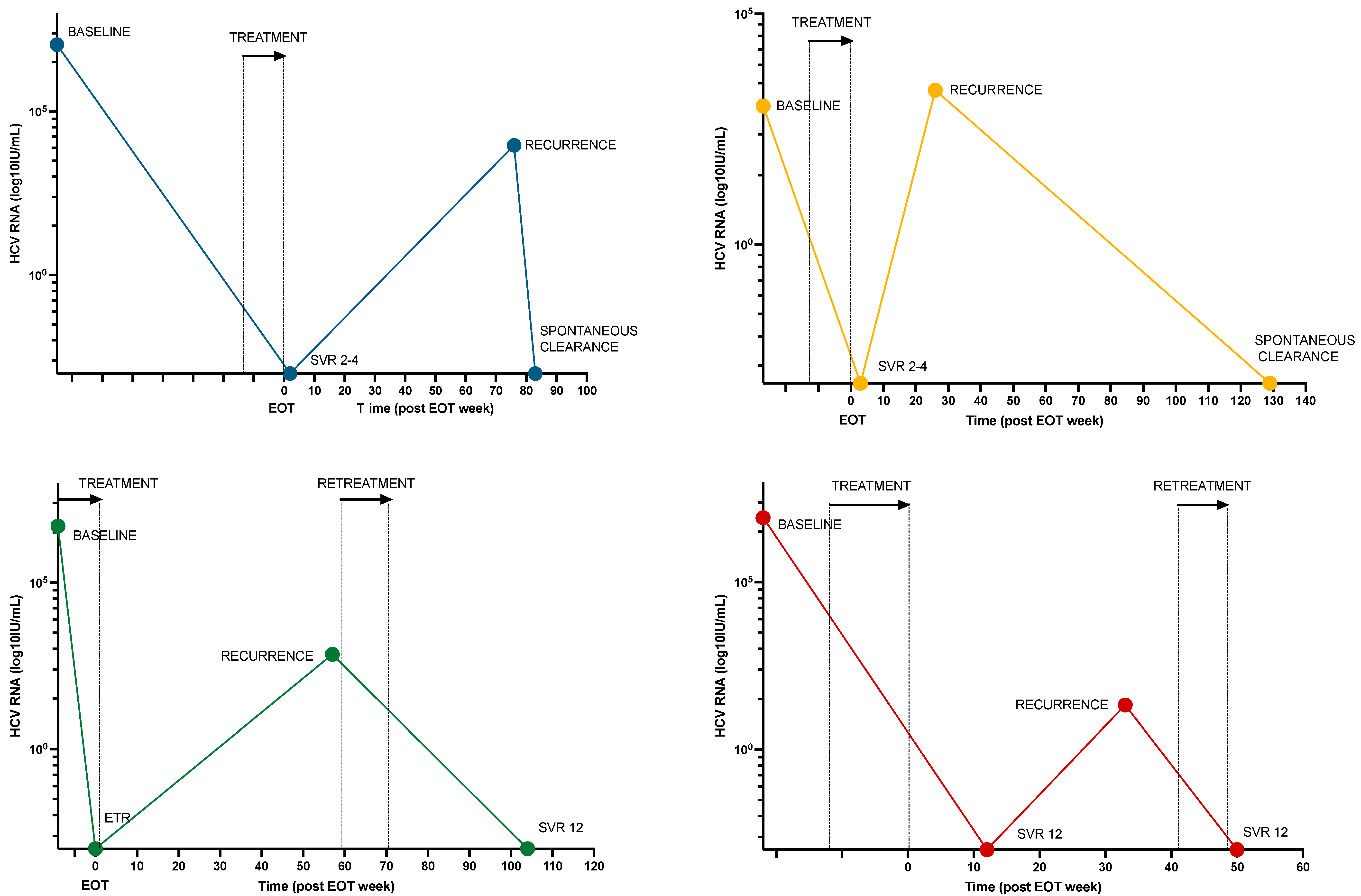 Viruses 16 00858 g003