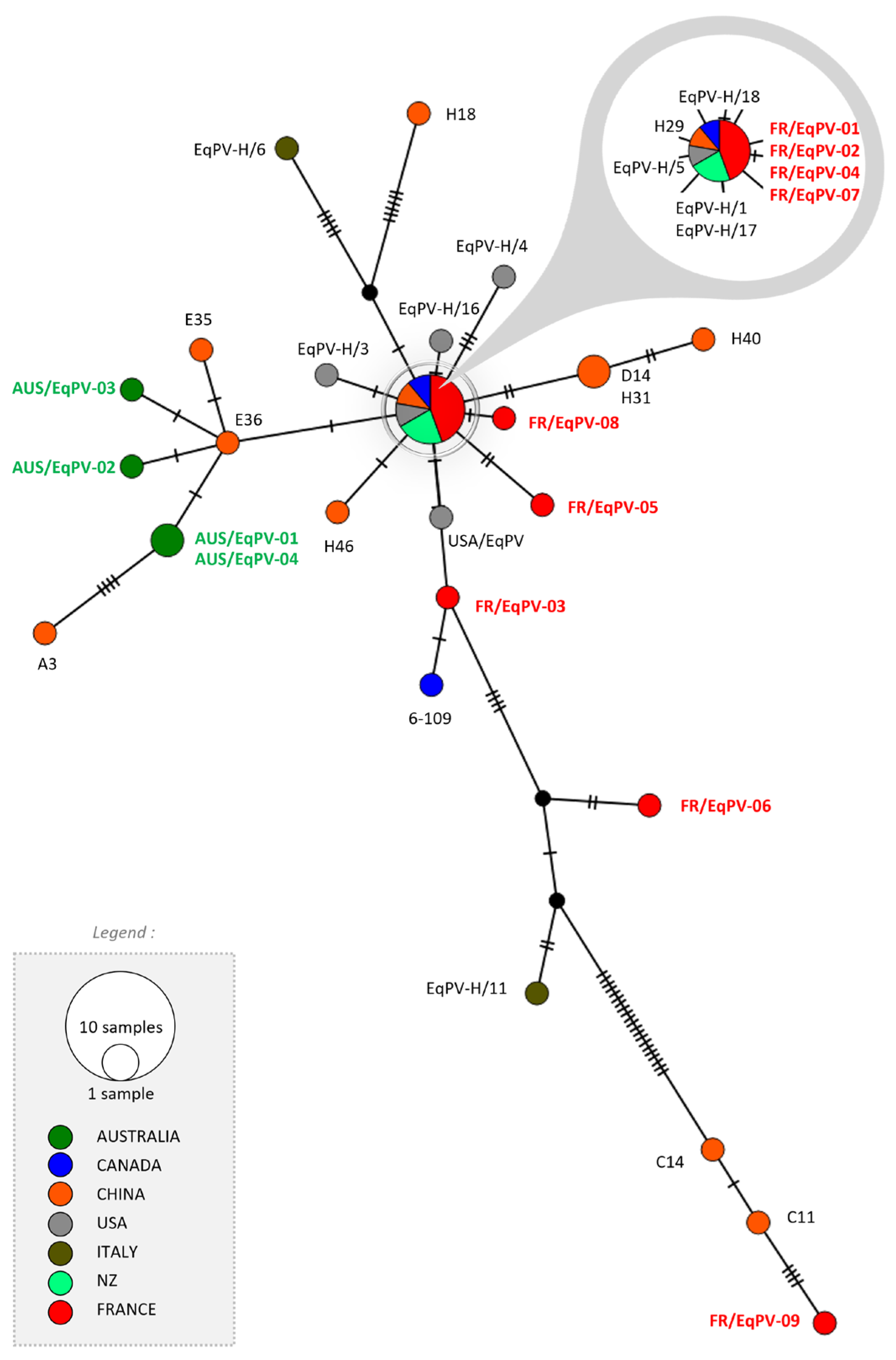 Viruses 16 00862 g001