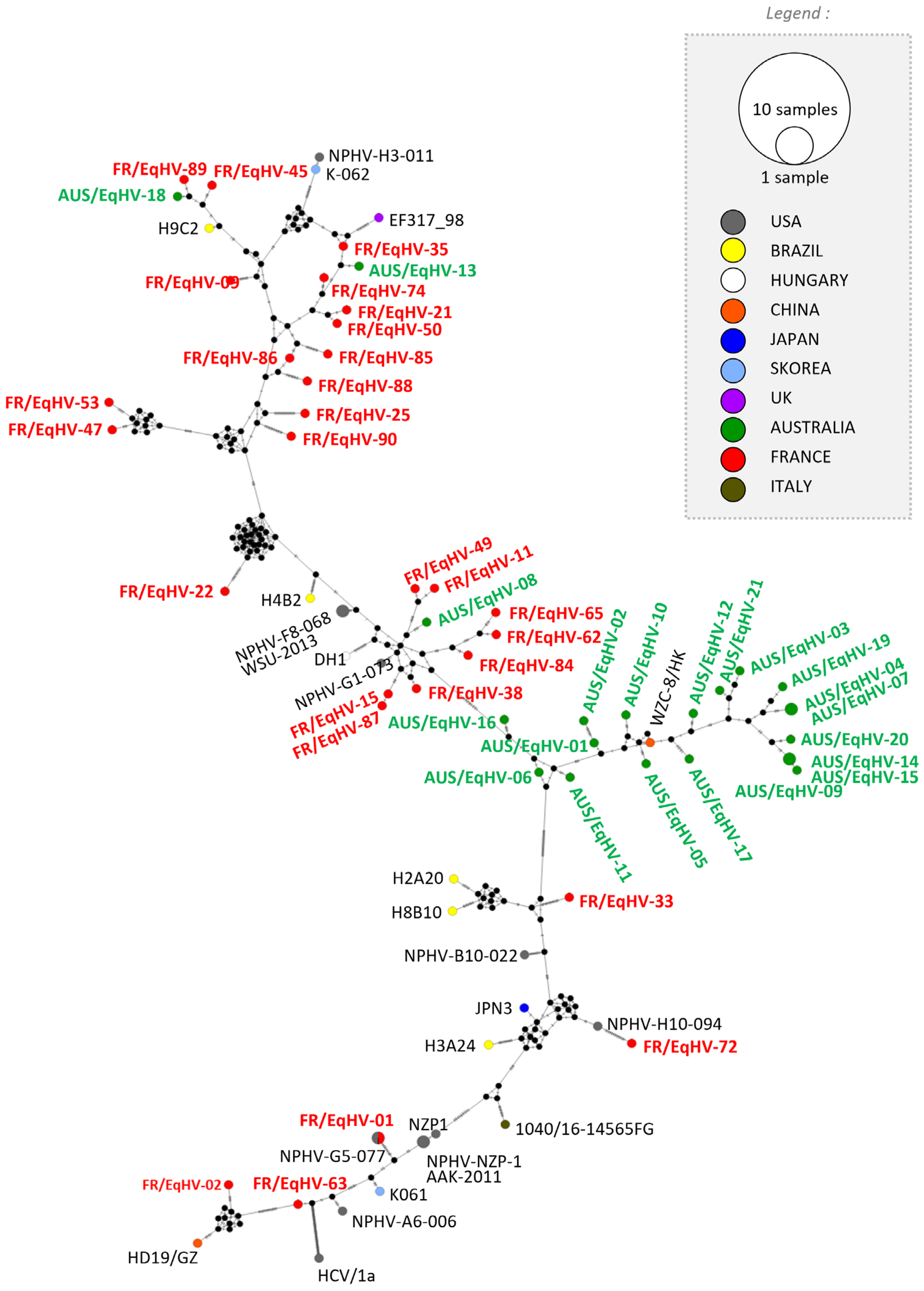 Viruses 16 00862 g002