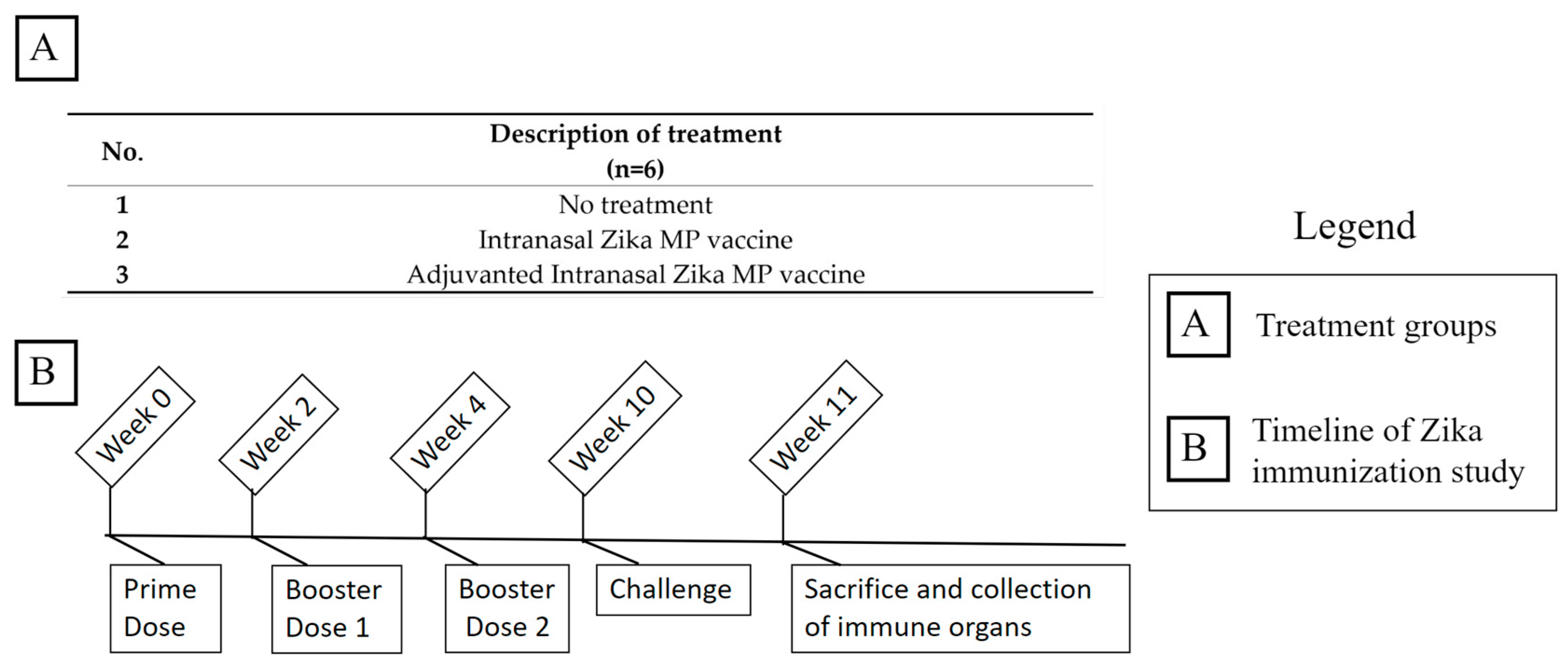 Viruses 16 00865 g004