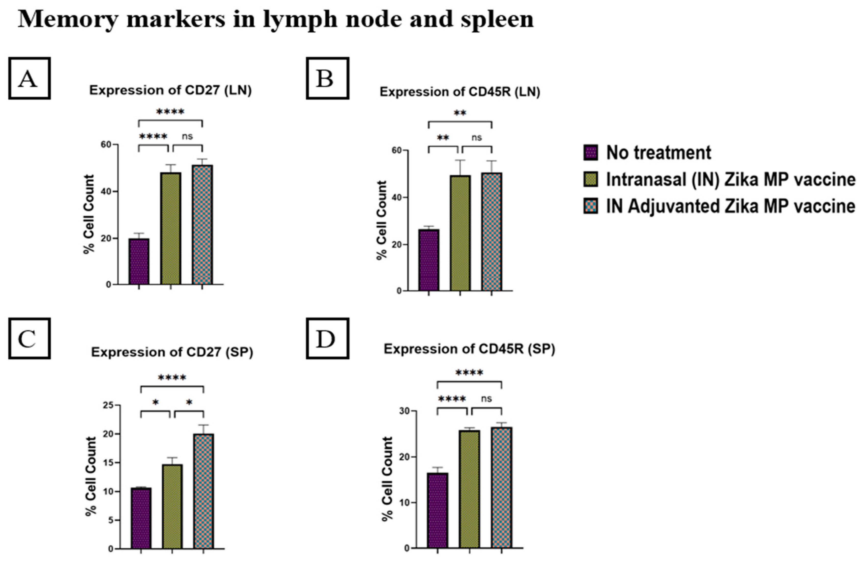Viruses 16 00865 g016