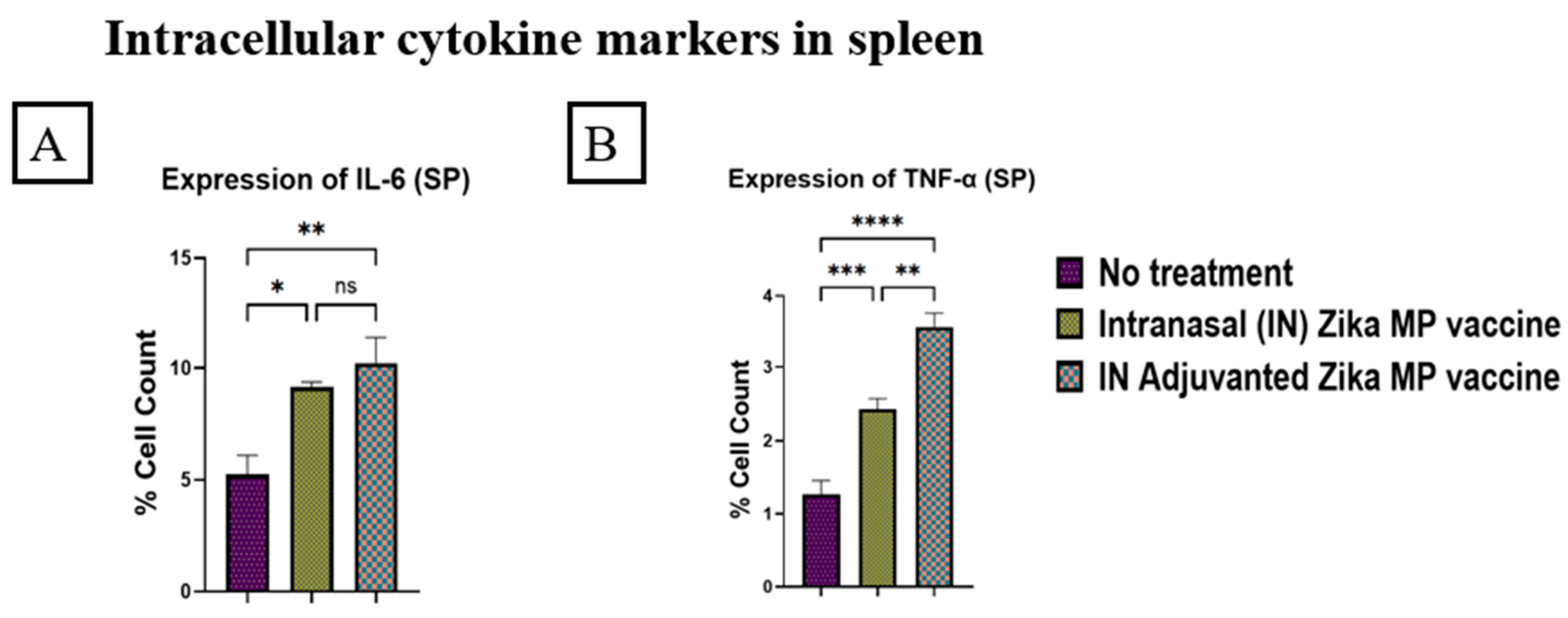 Viruses 16 00865 g017