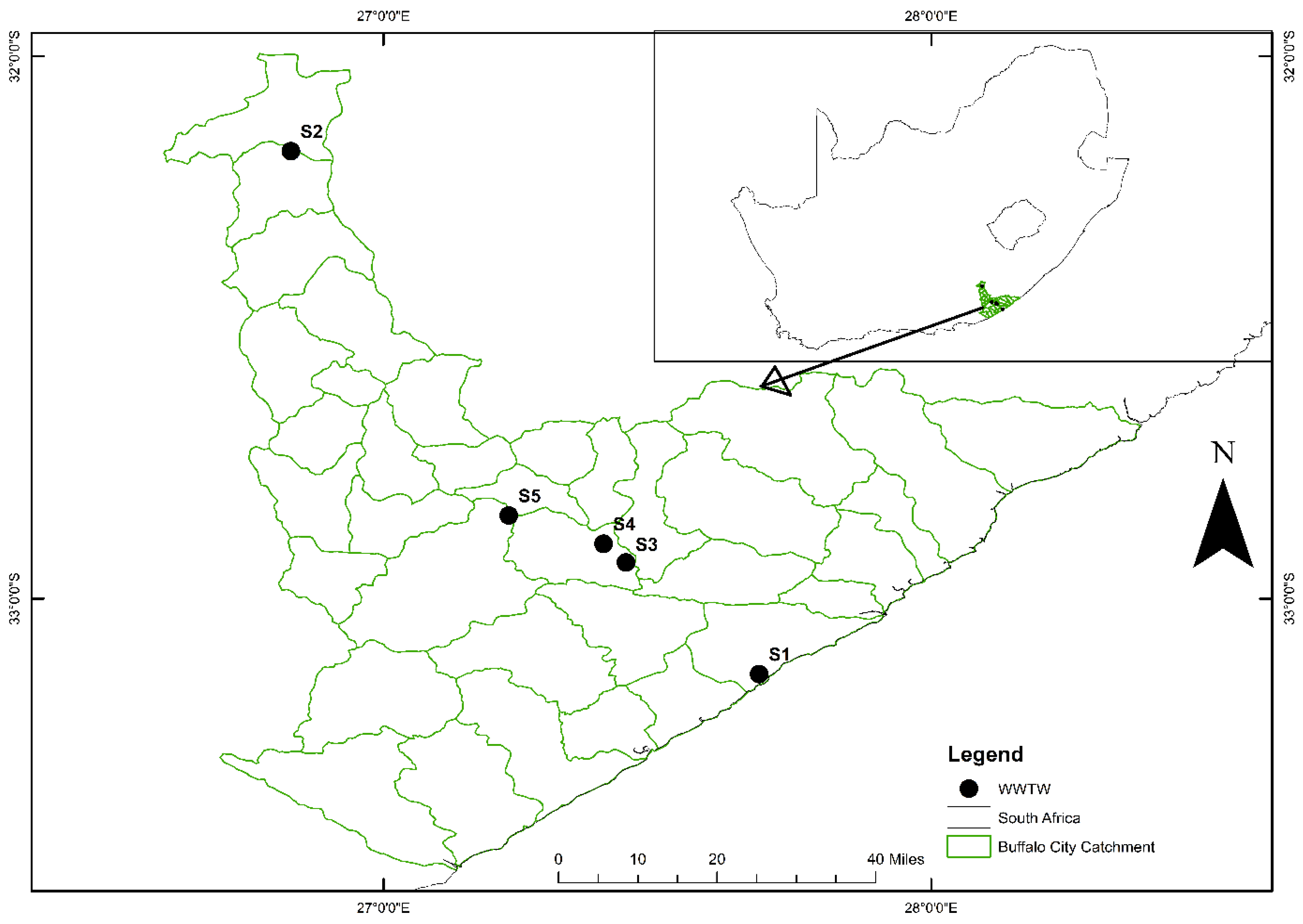 Viruses 16 00871 g001