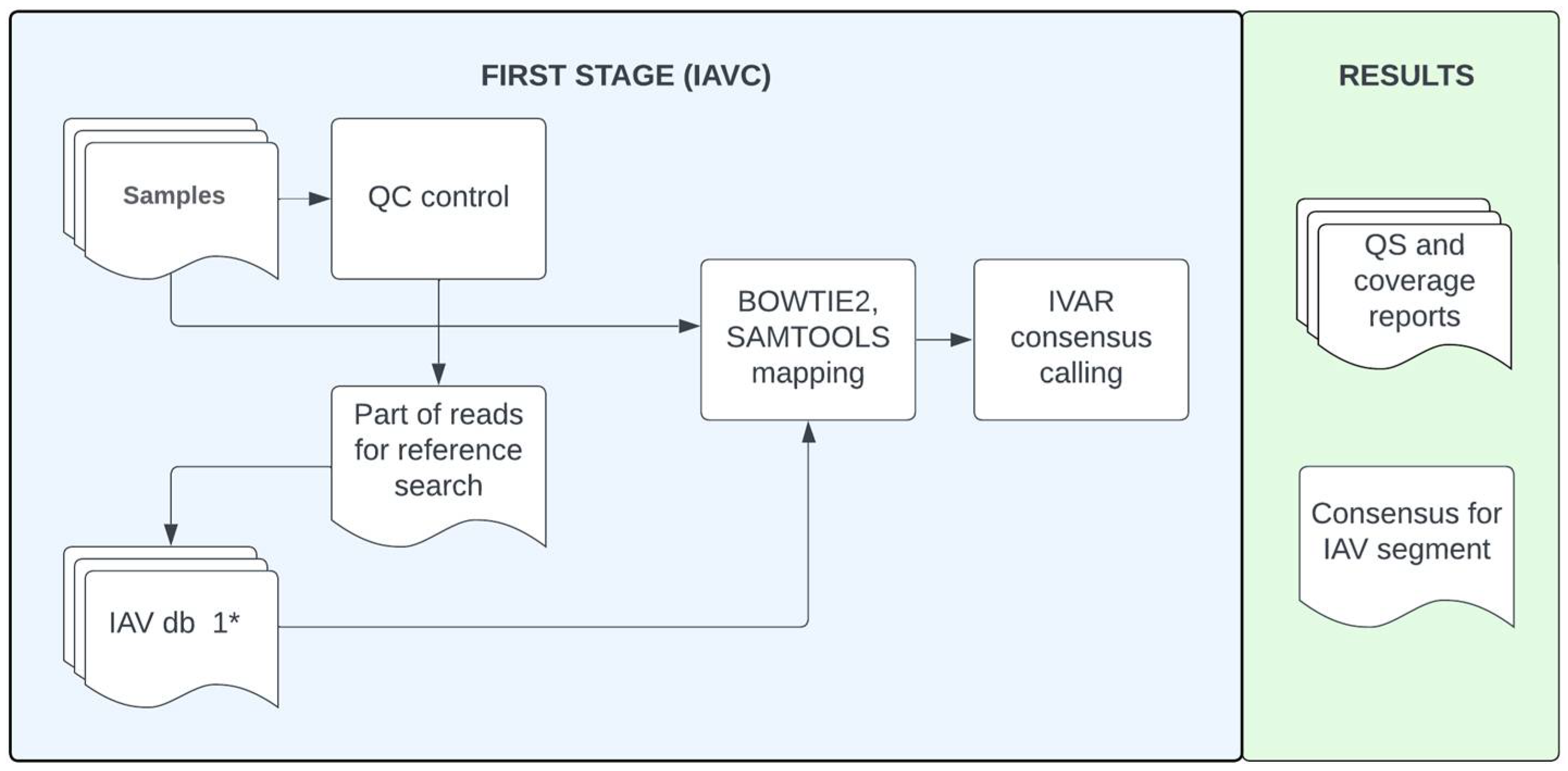 Viruses 16 00873 g001