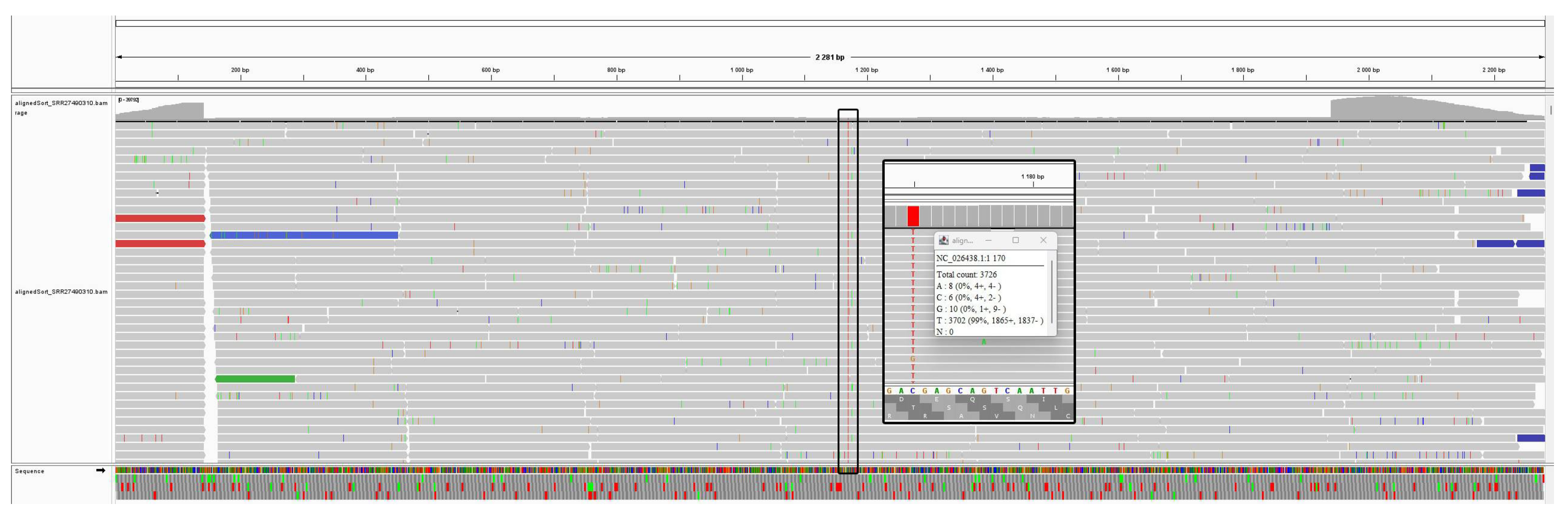 Viruses 16 00873 g003