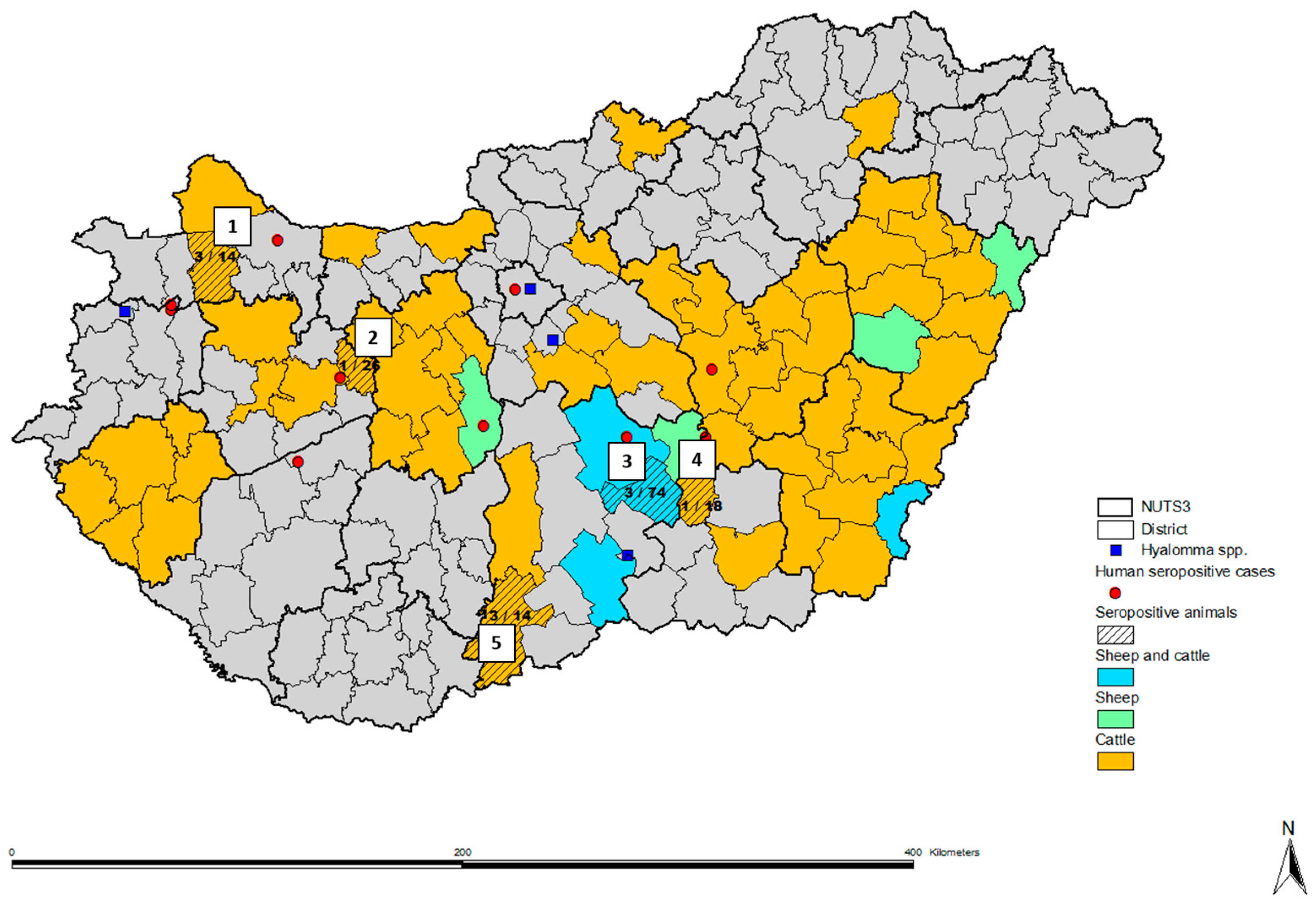 Viruses 16 00875 g001 Viruses 16 00875 g001