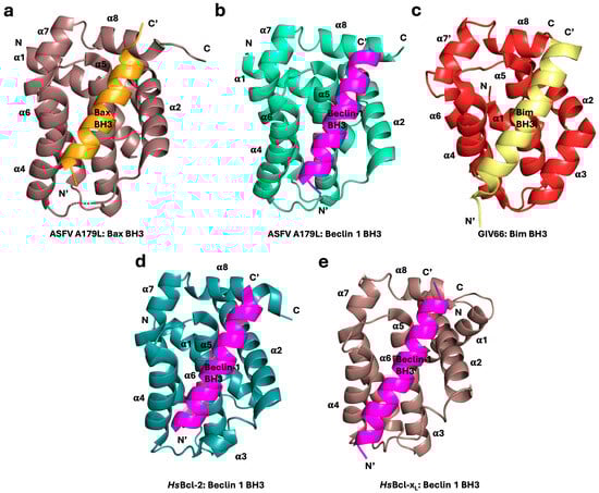Viruses 16 00879 g003
