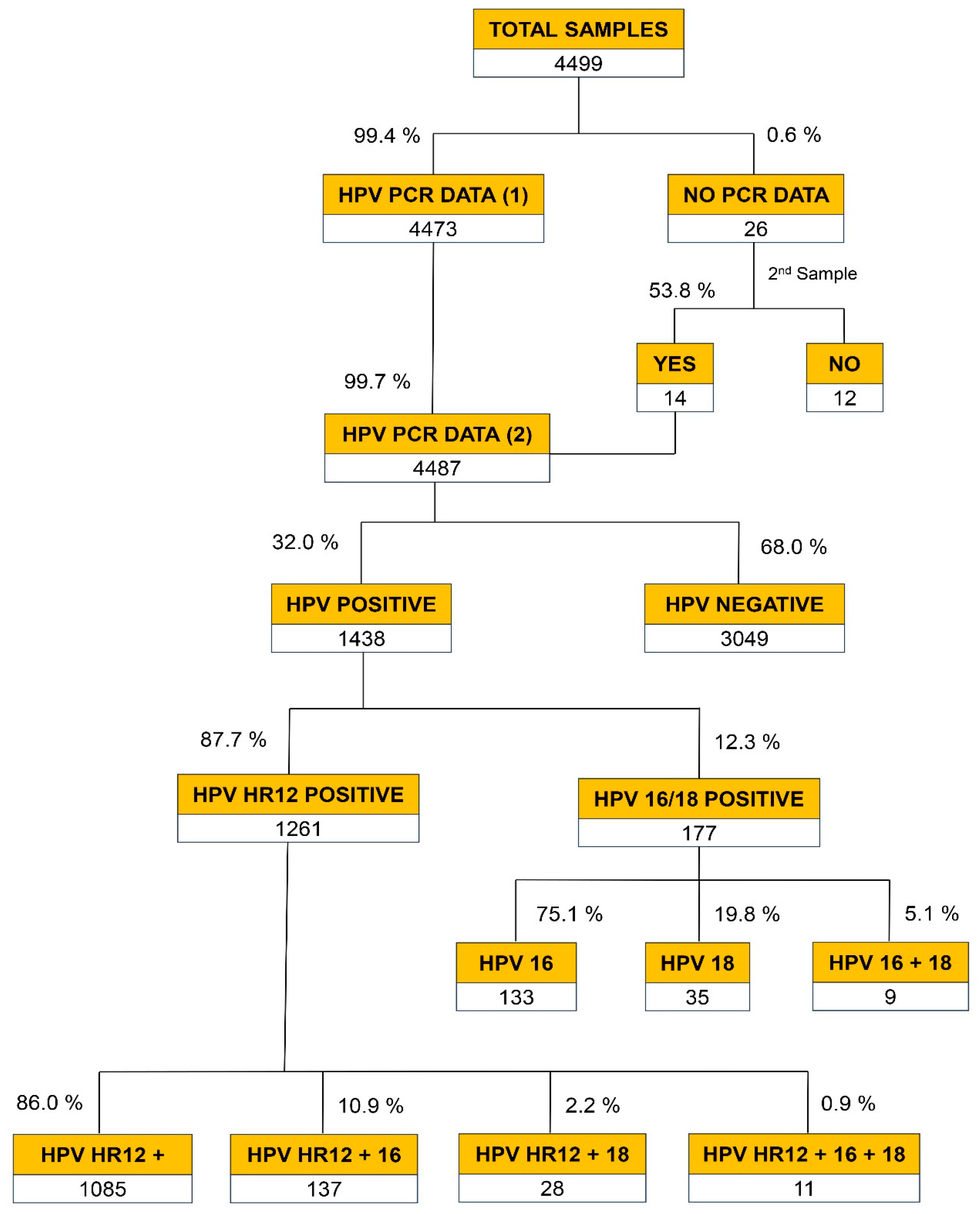 Viruses 16 00887 g001