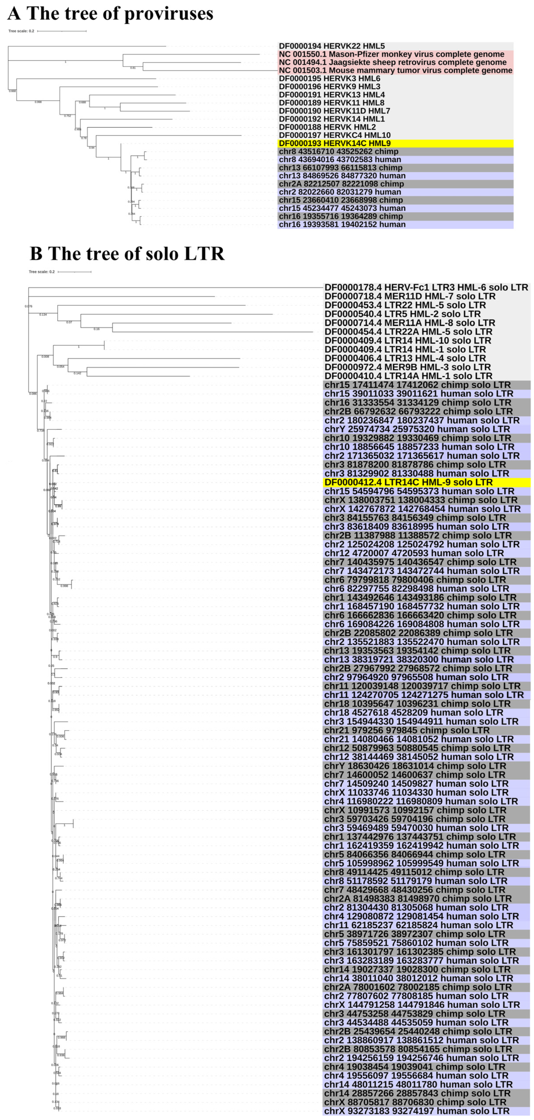 Viruses 16 00892 g003a