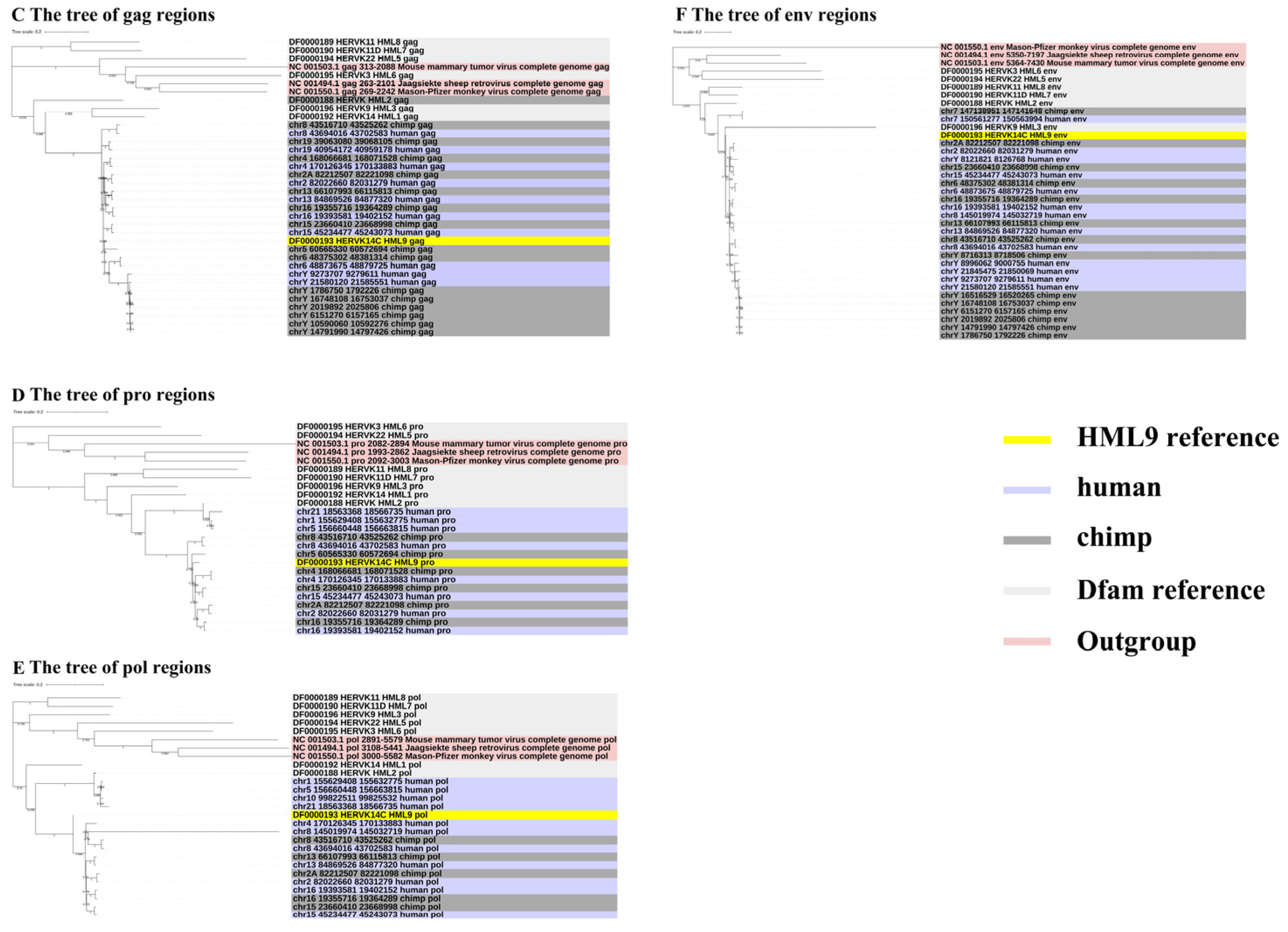 Viruses 16 00892 g003b