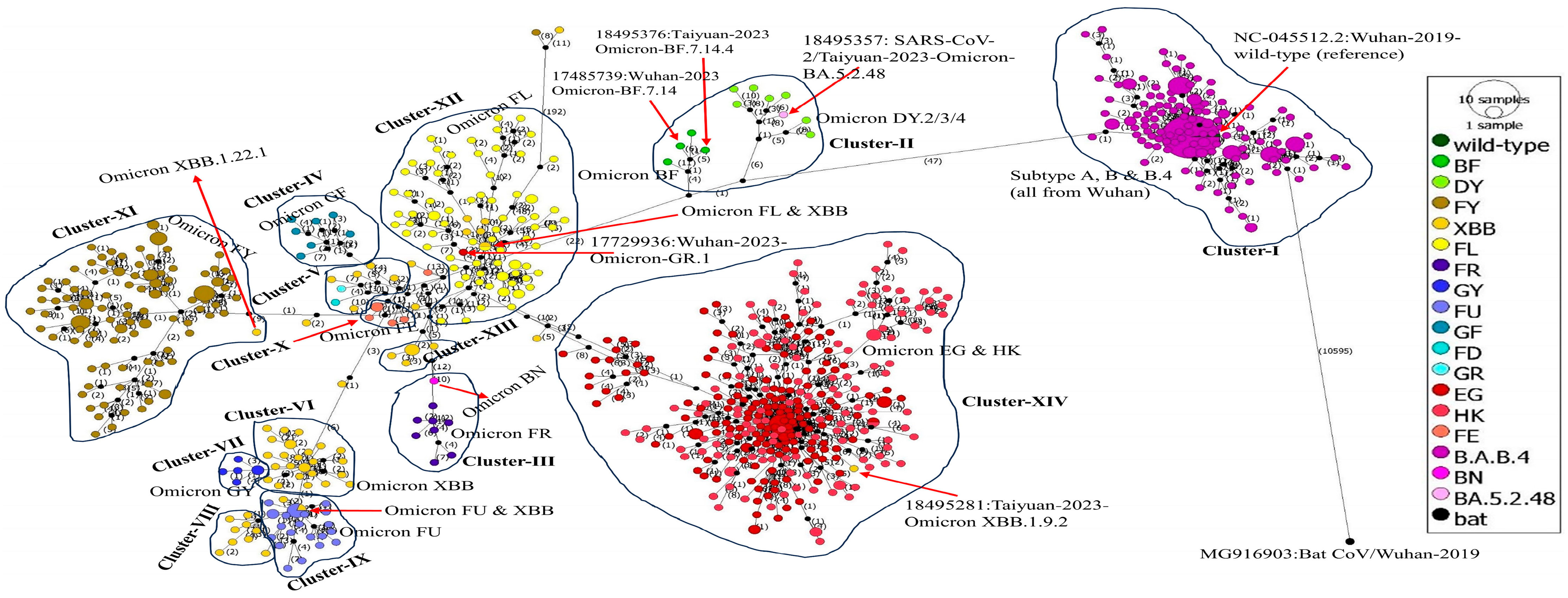 Viruses 16 00907 g006