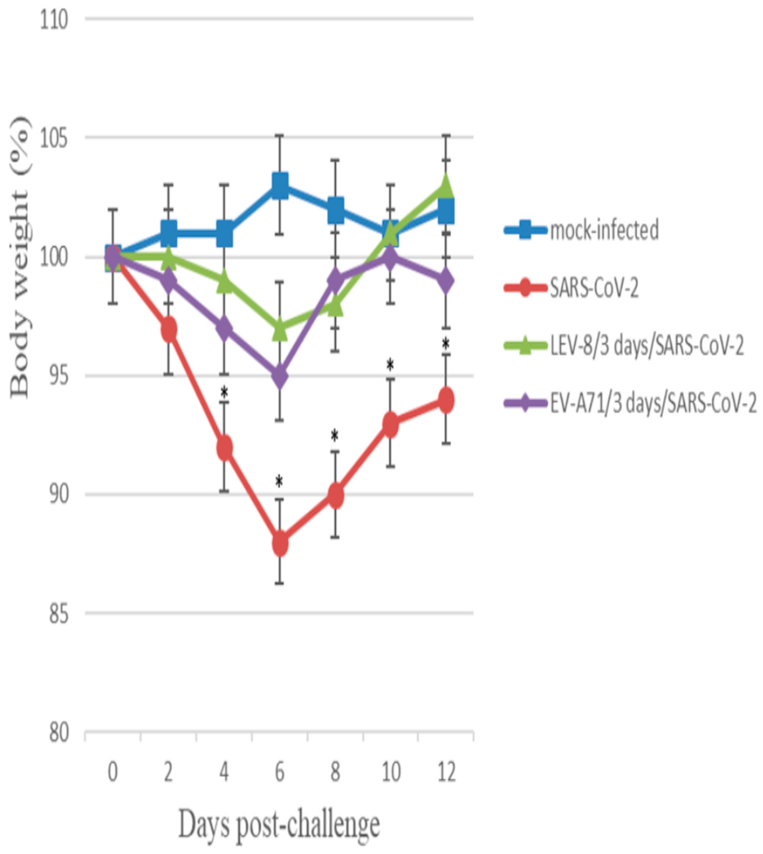 Viruses 16 00909 g001