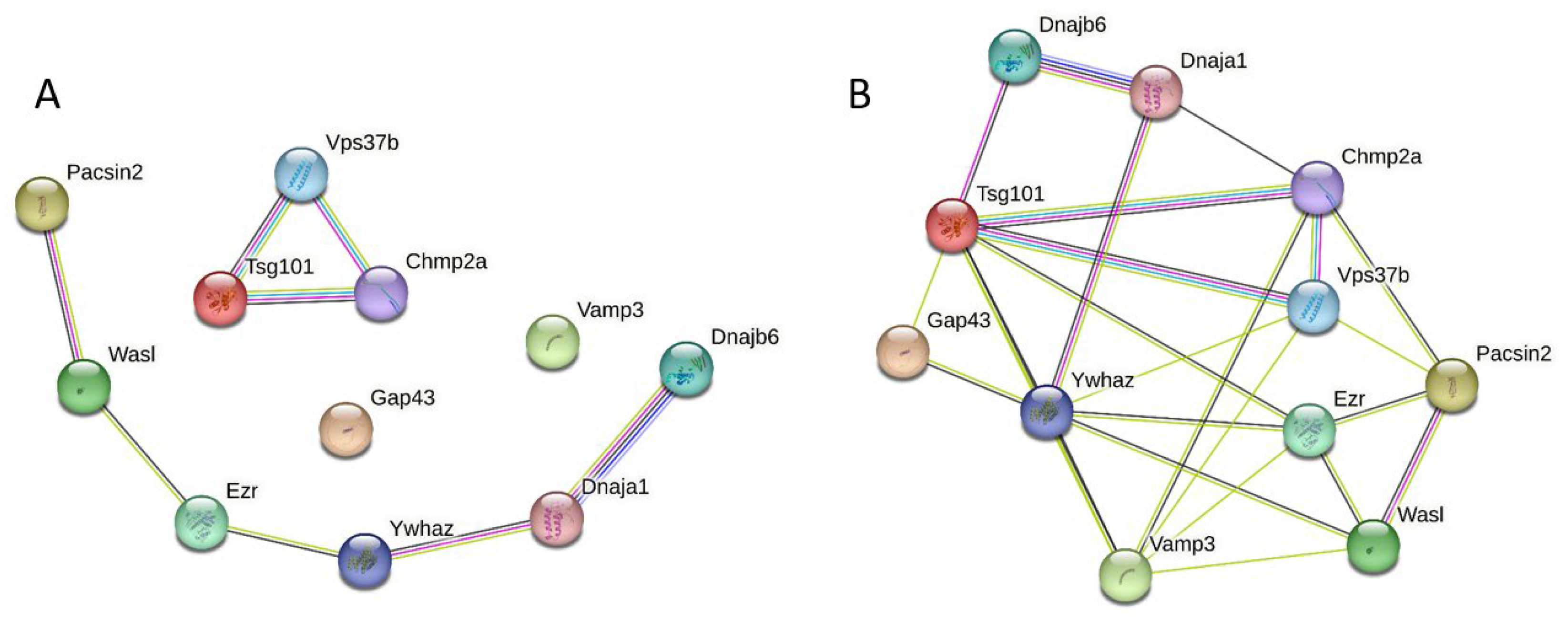 Viruses 16 00916 g006