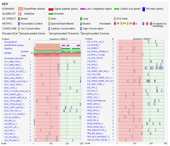 Viruses 16 00916 g0a4