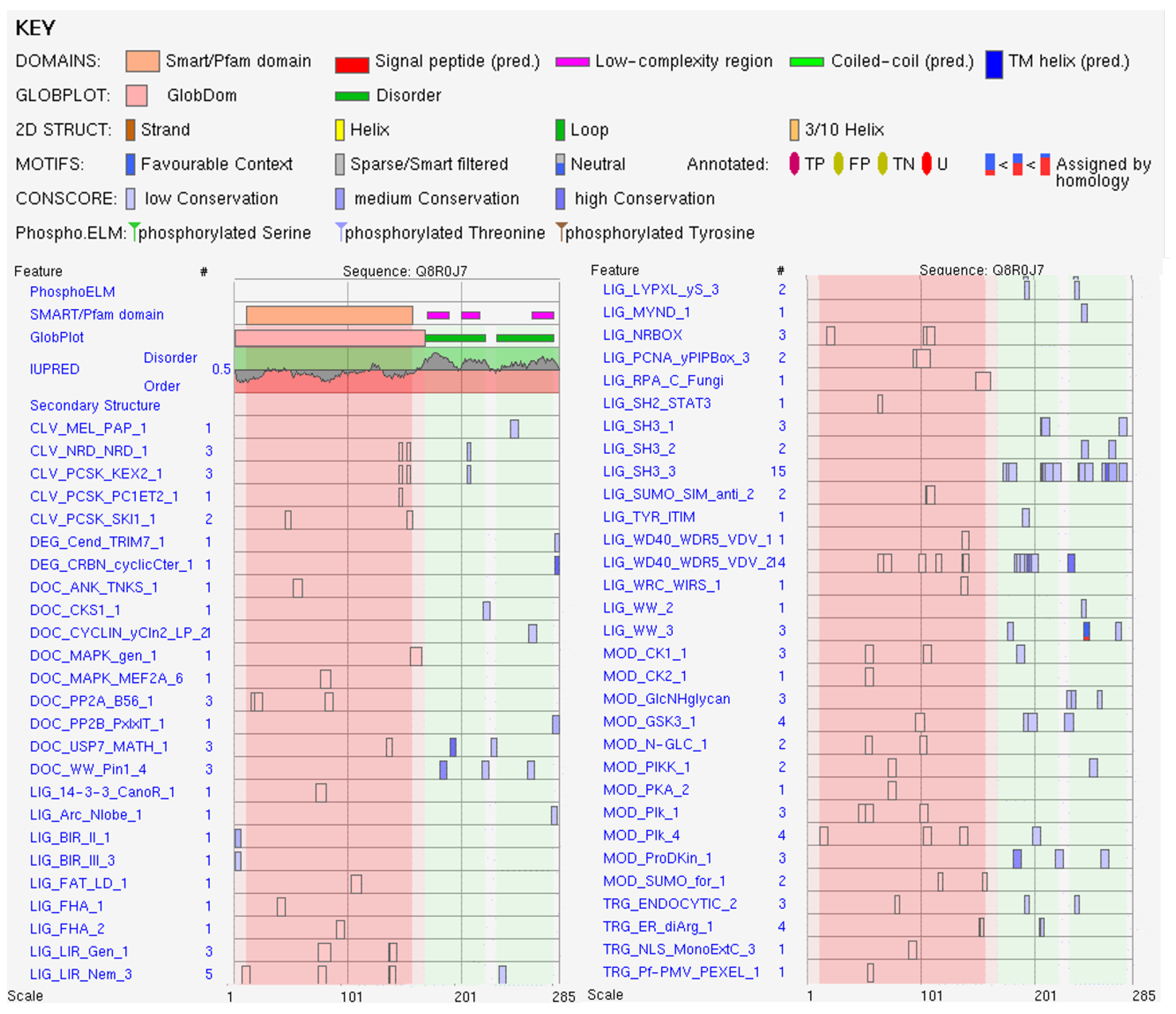 Viruses 16 00916 g0a4