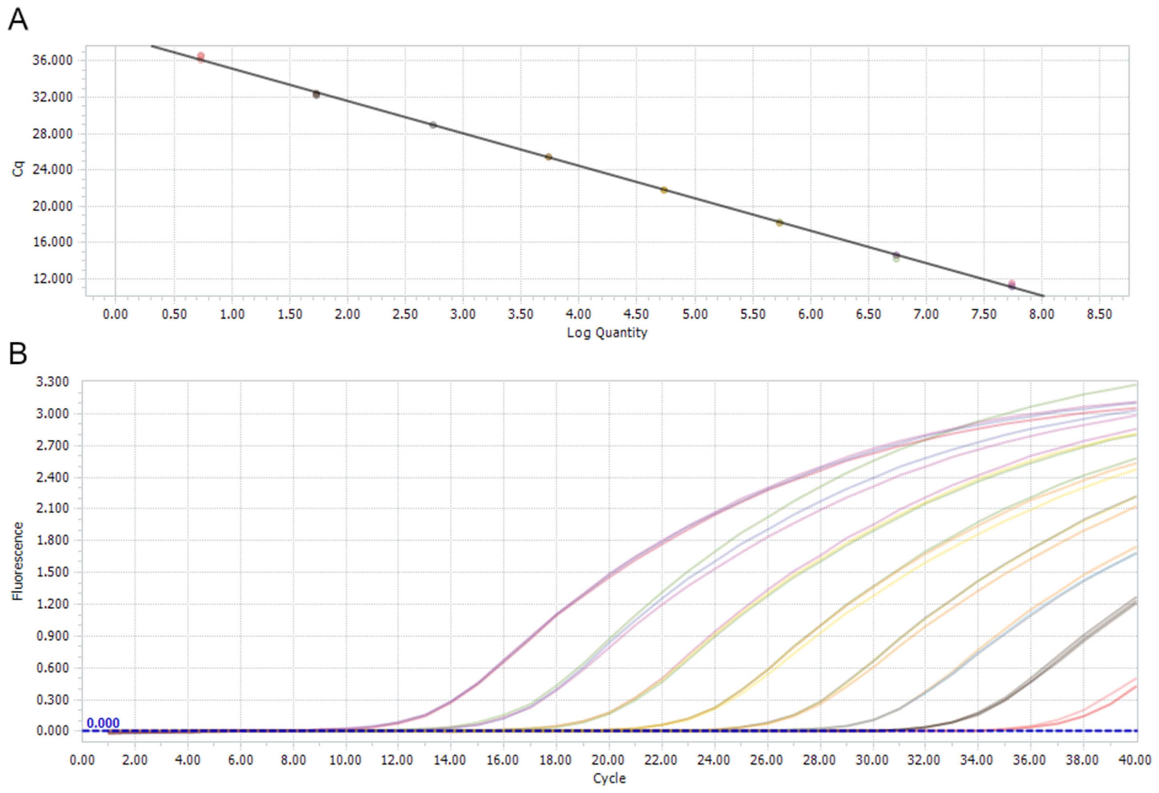 Viruses 16 00917 g001 Viruses 16 00917 g001