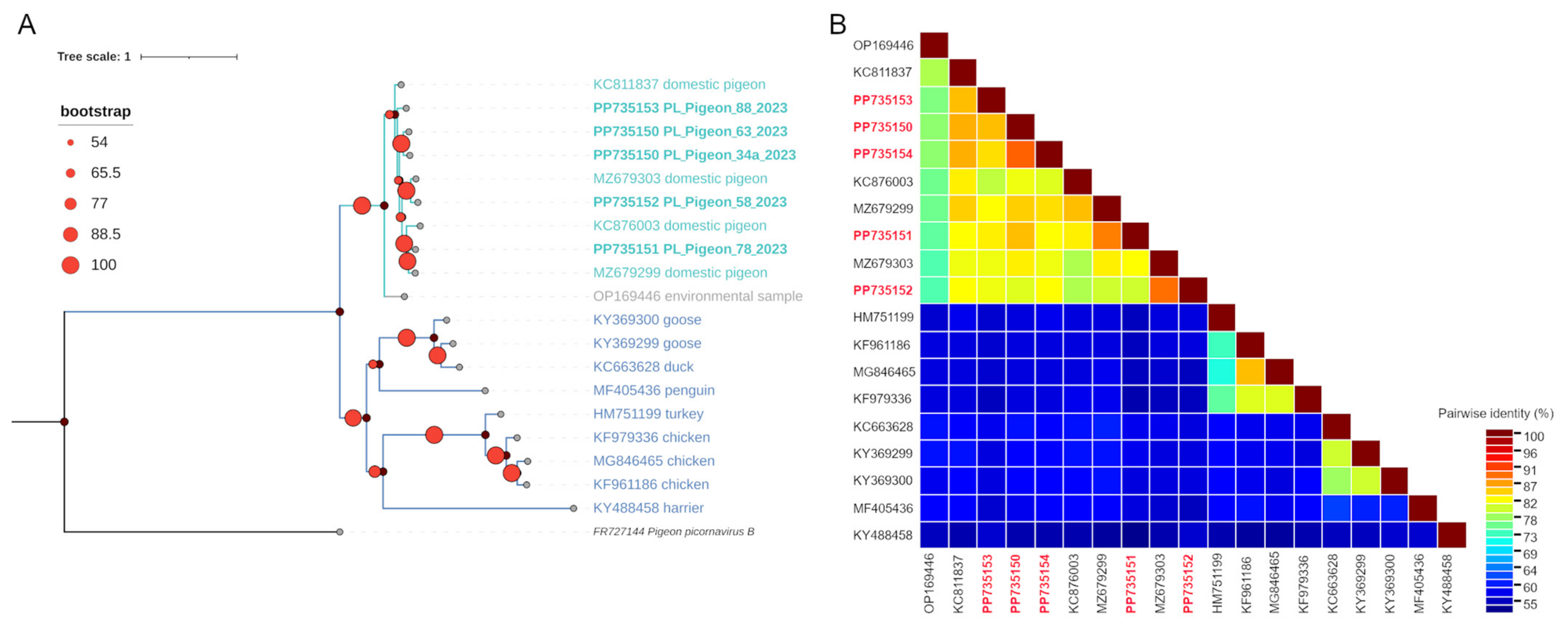 Viruses 16 00917 g003a Viruses 16 00917 g003a