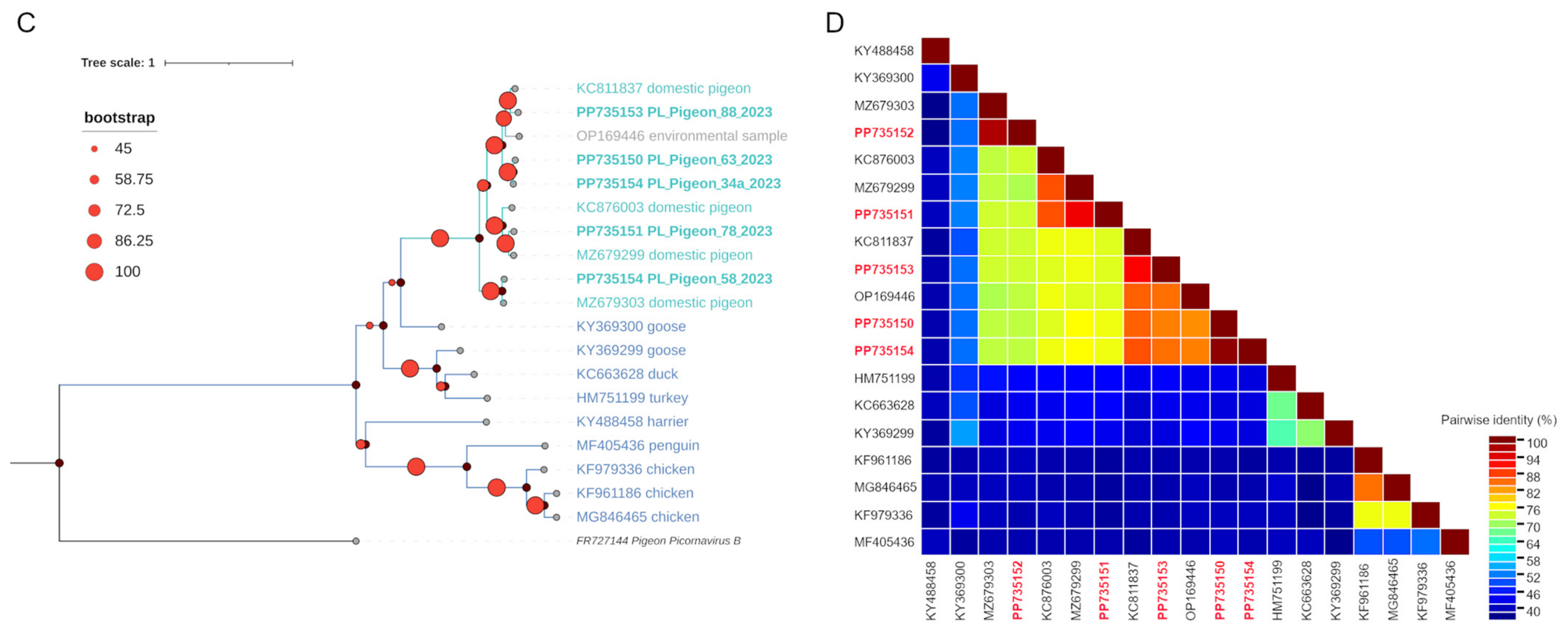 Viruses 16 00917 g003b Viruses 16 00917 g003b