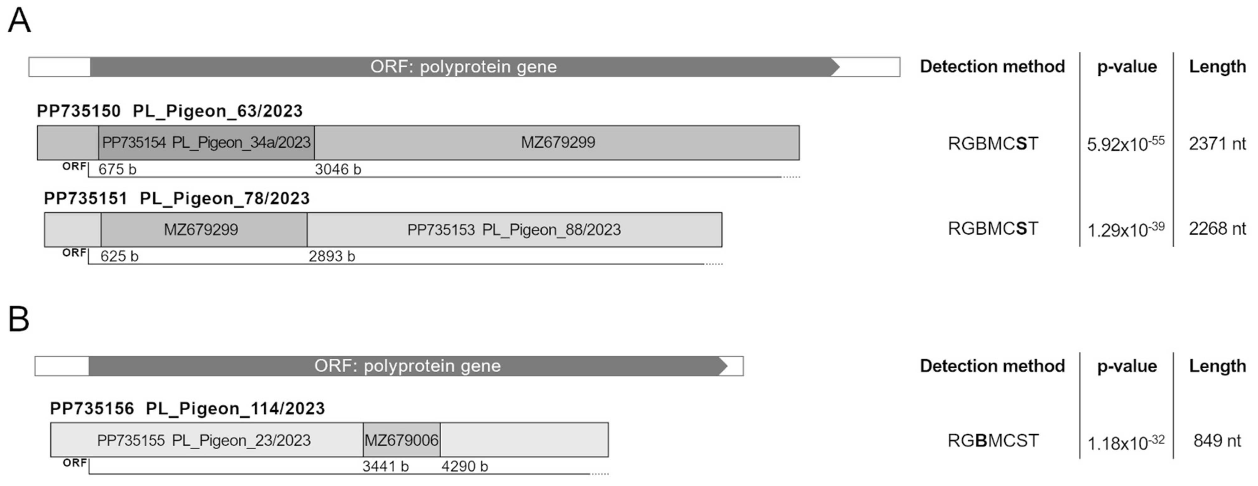 Viruses 16 00917 g005 Viruses 16 00917 g005