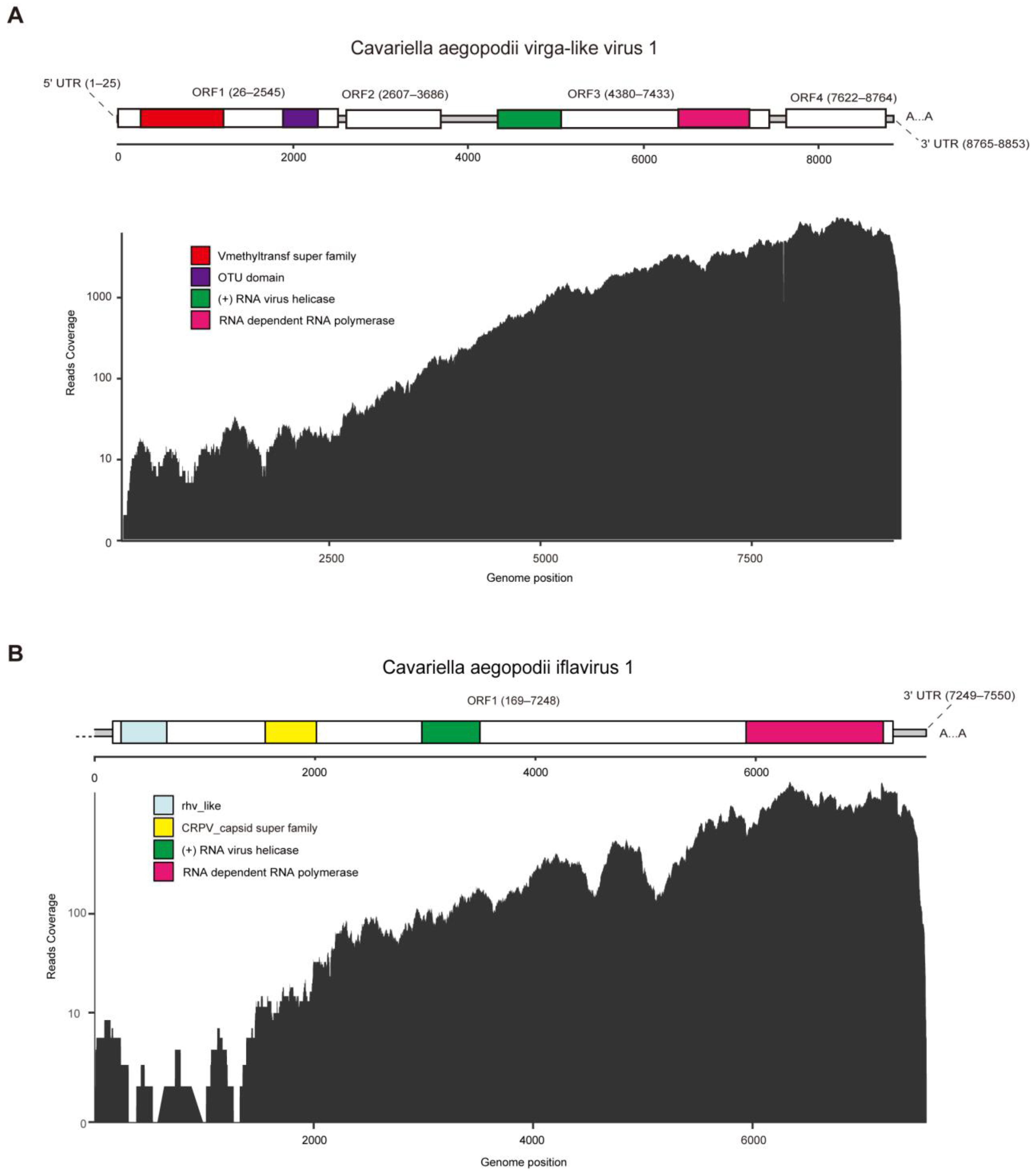 Viruses 16 00919 g001