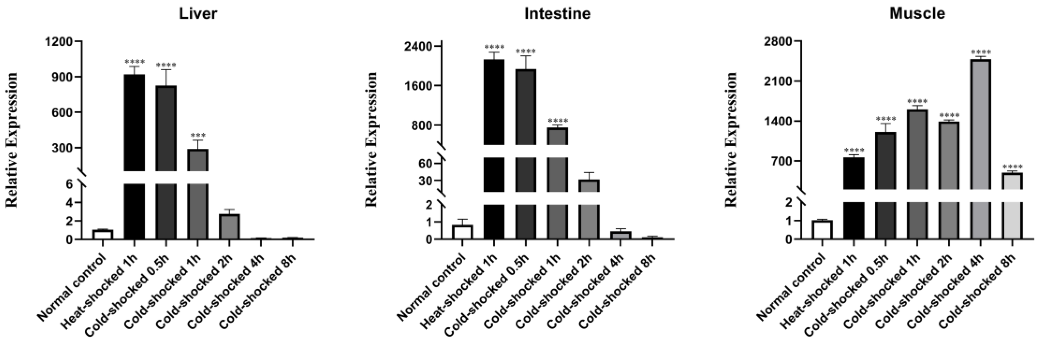 Viruses 16 00921 g002
