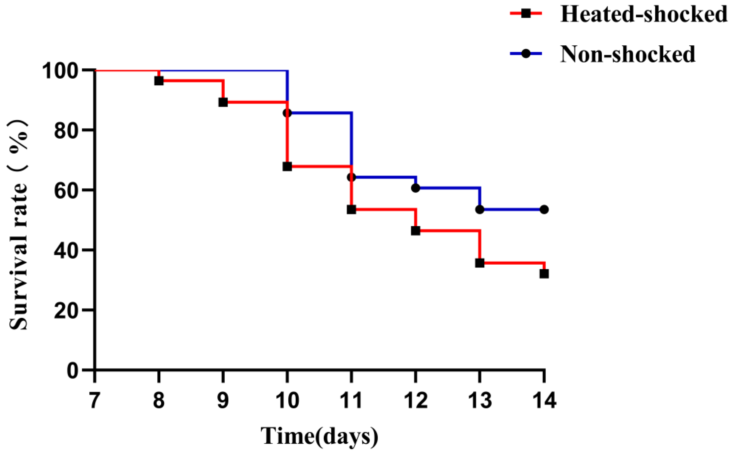 Viruses 16 00921 g004
