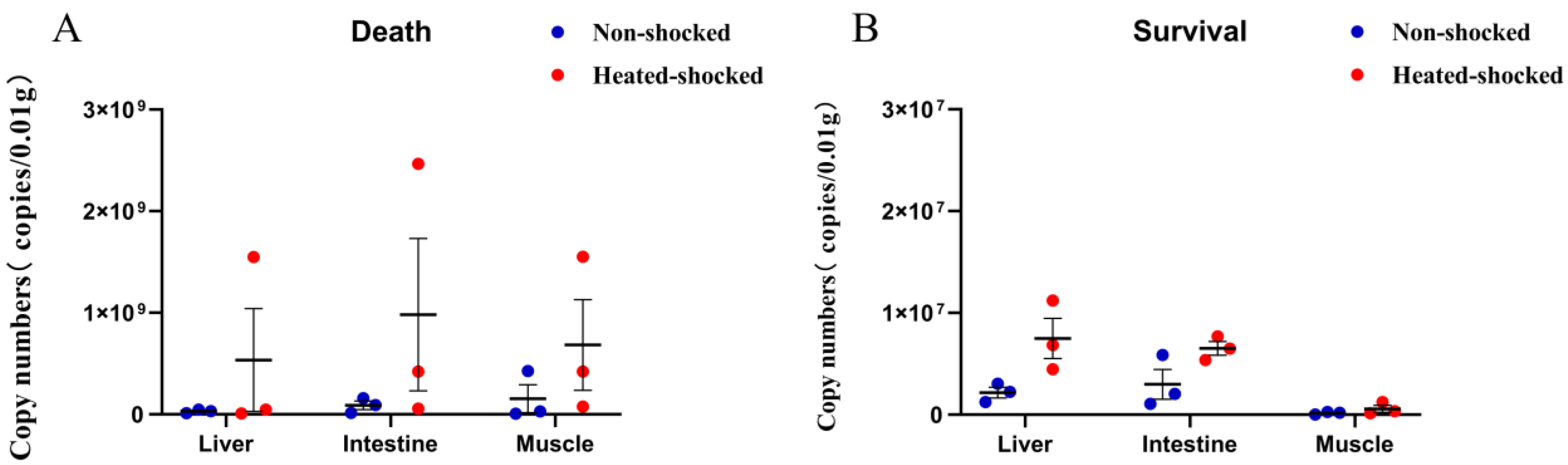 Viruses 16 00921 g005