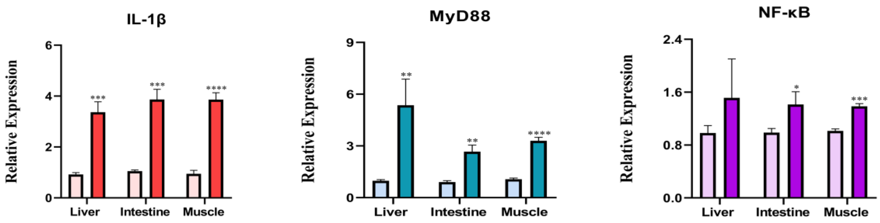 Viruses 16 00921 g008