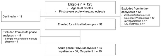 Viruses 16 00924 g001
