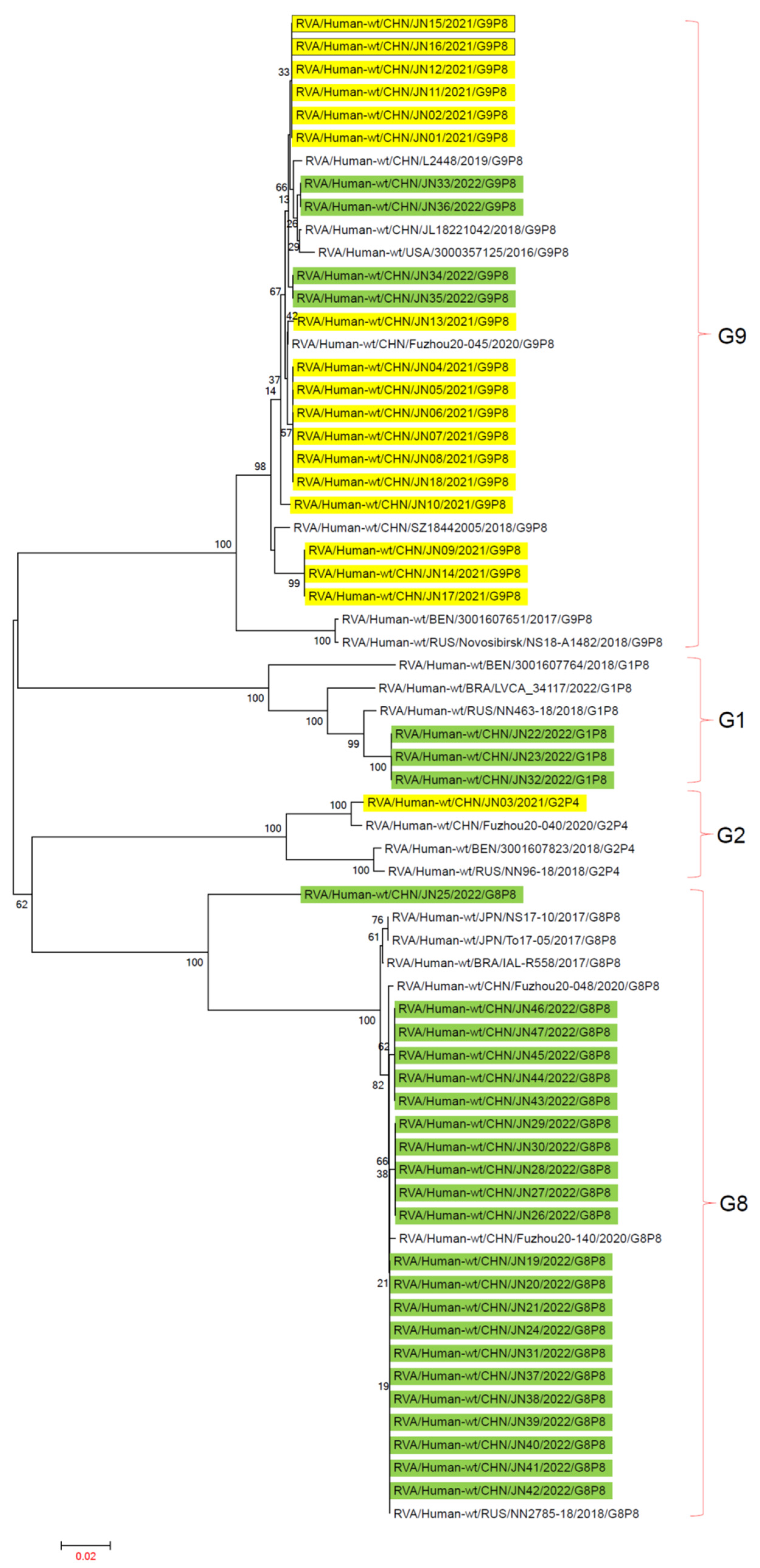 Viruses 16 00925 g003