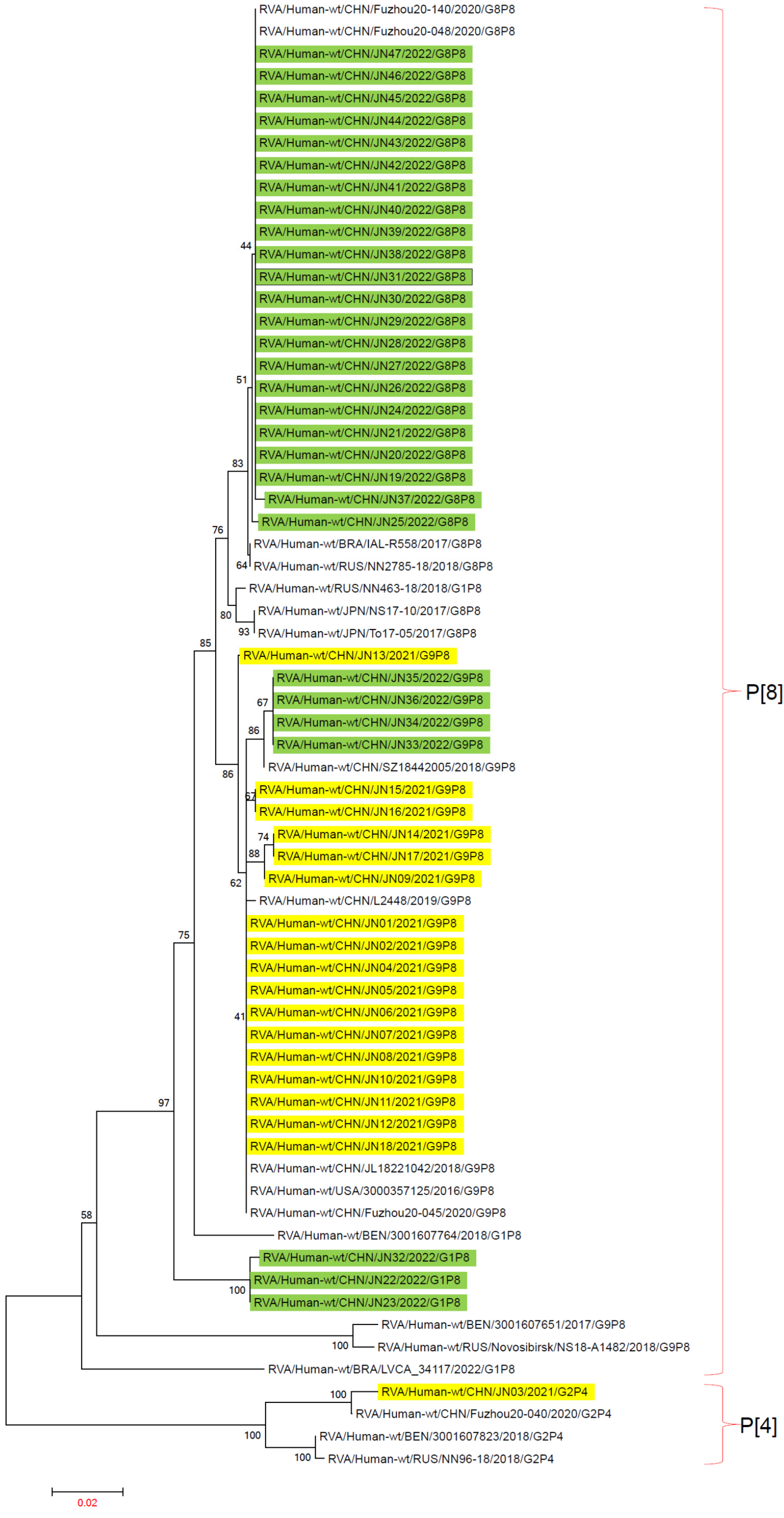 Viruses 16 00925 g004