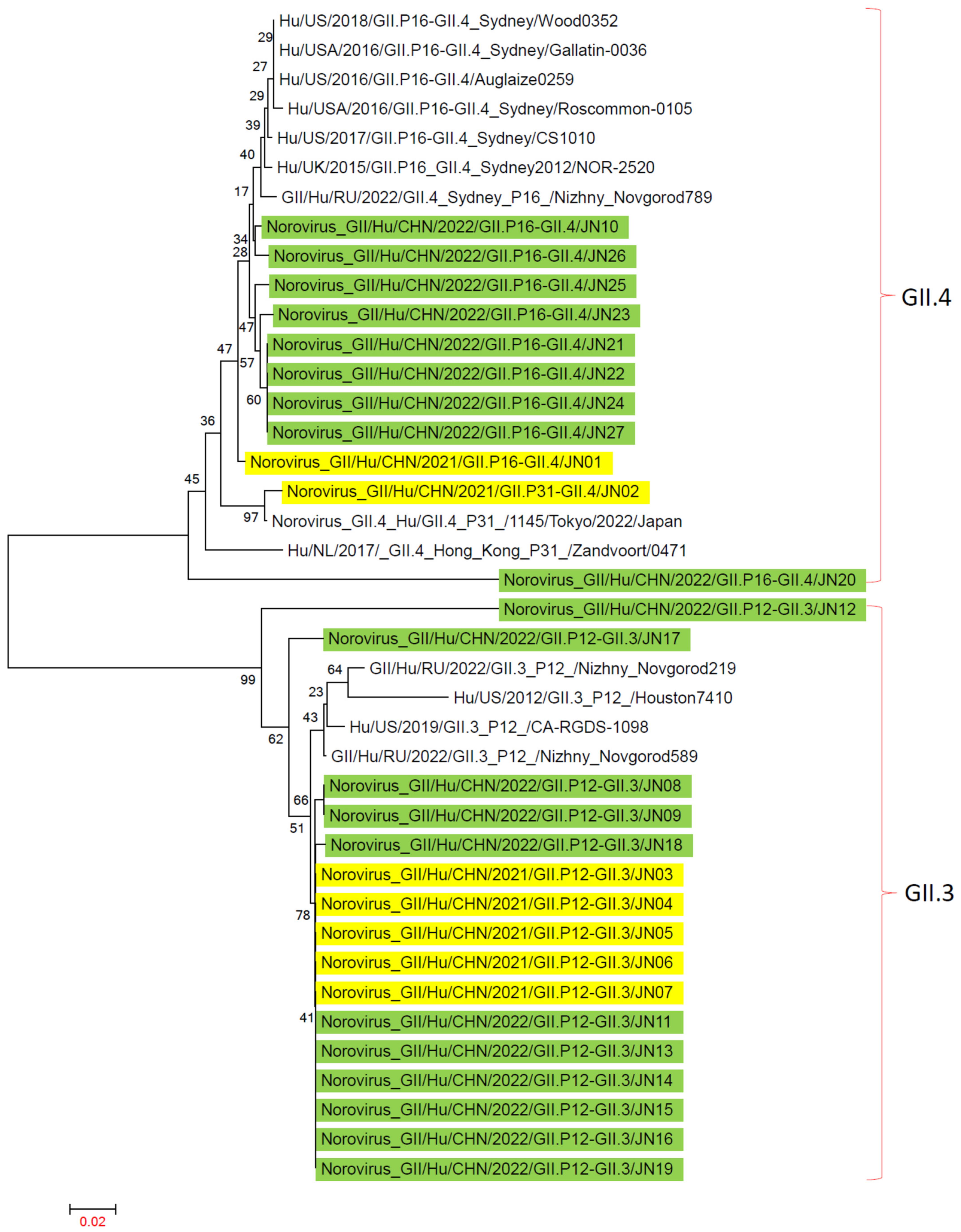 Viruses 16 00925 g006