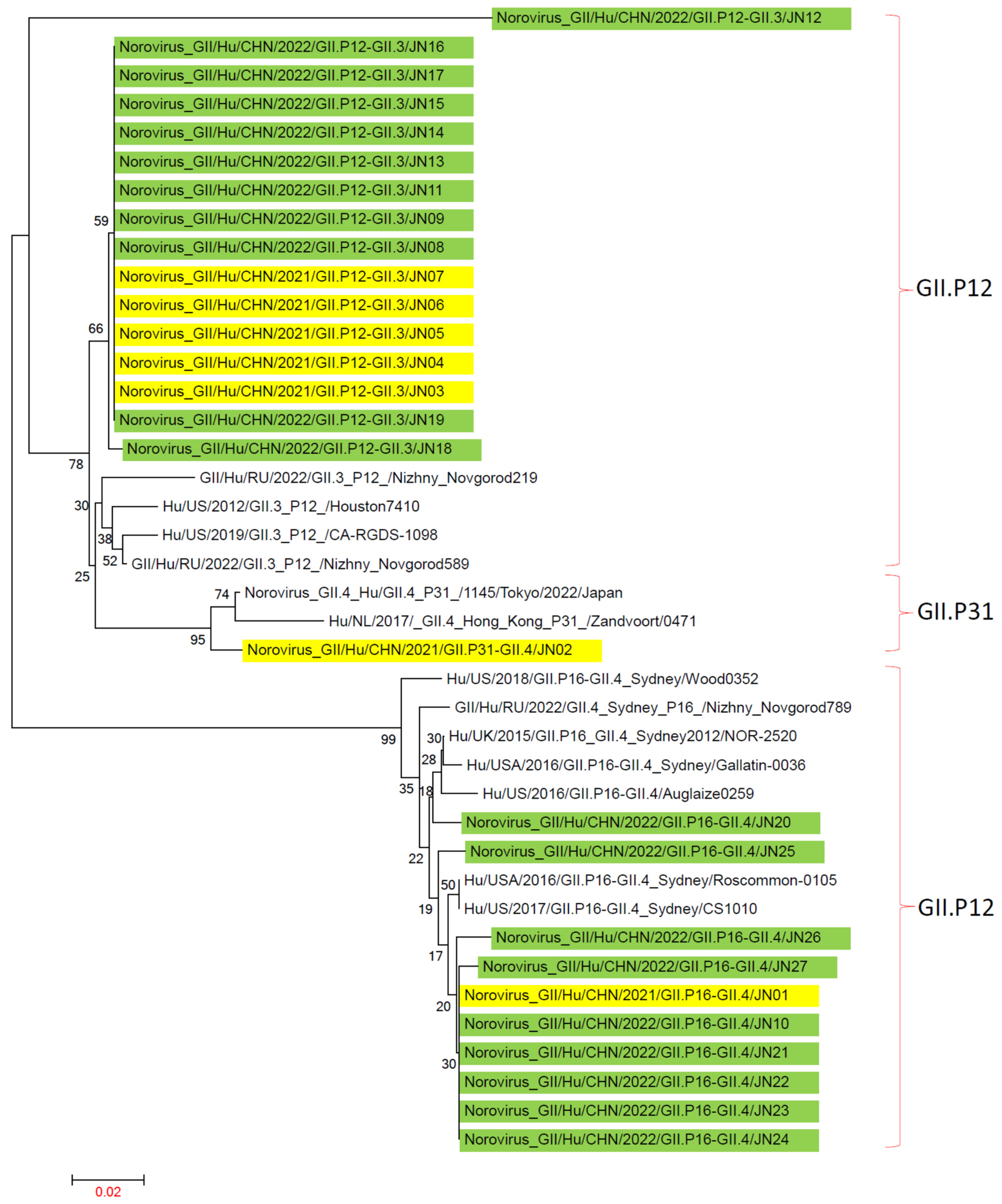 Viruses 16 00925 g007