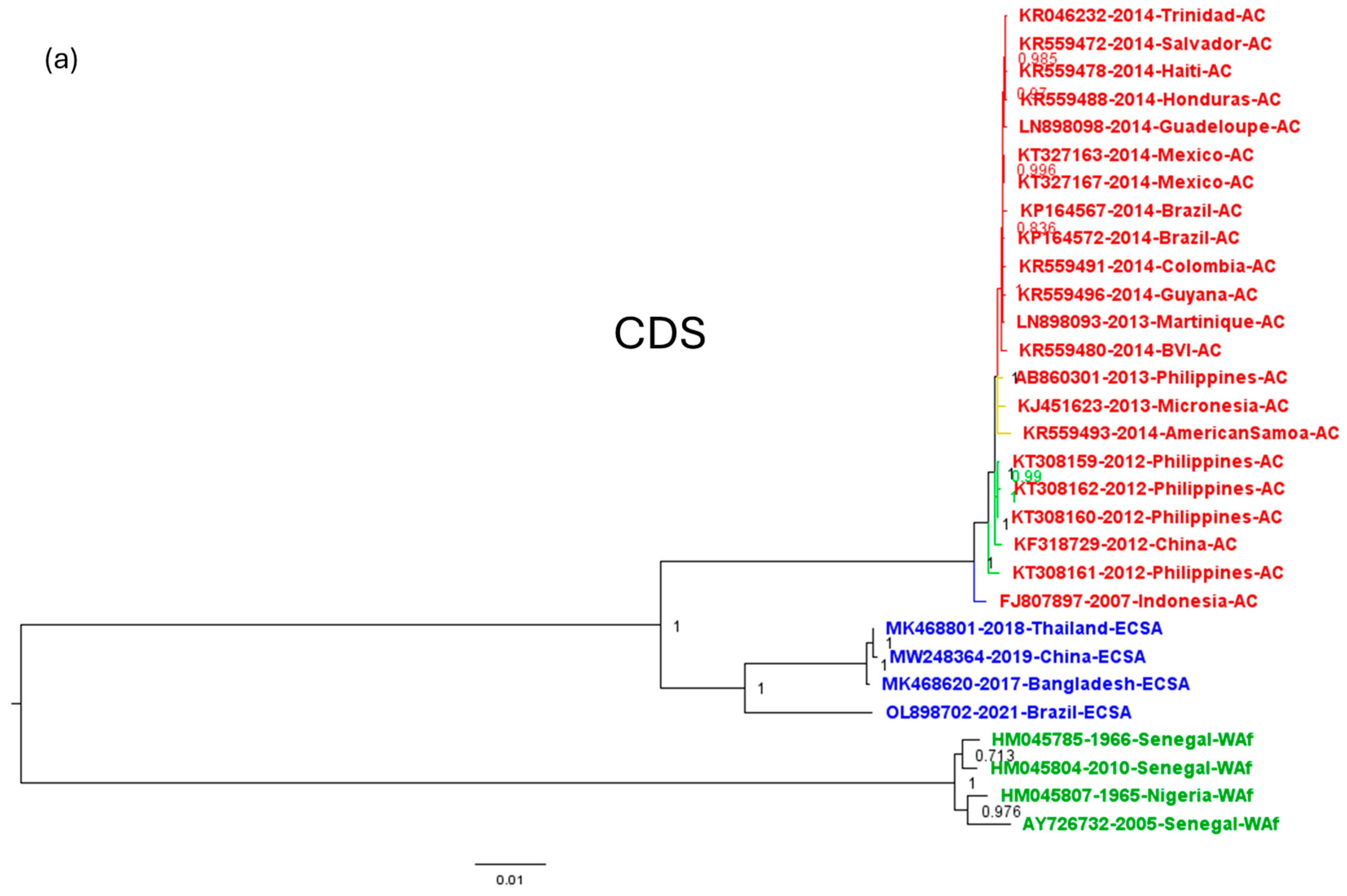 Viruses 16 00926 g005a