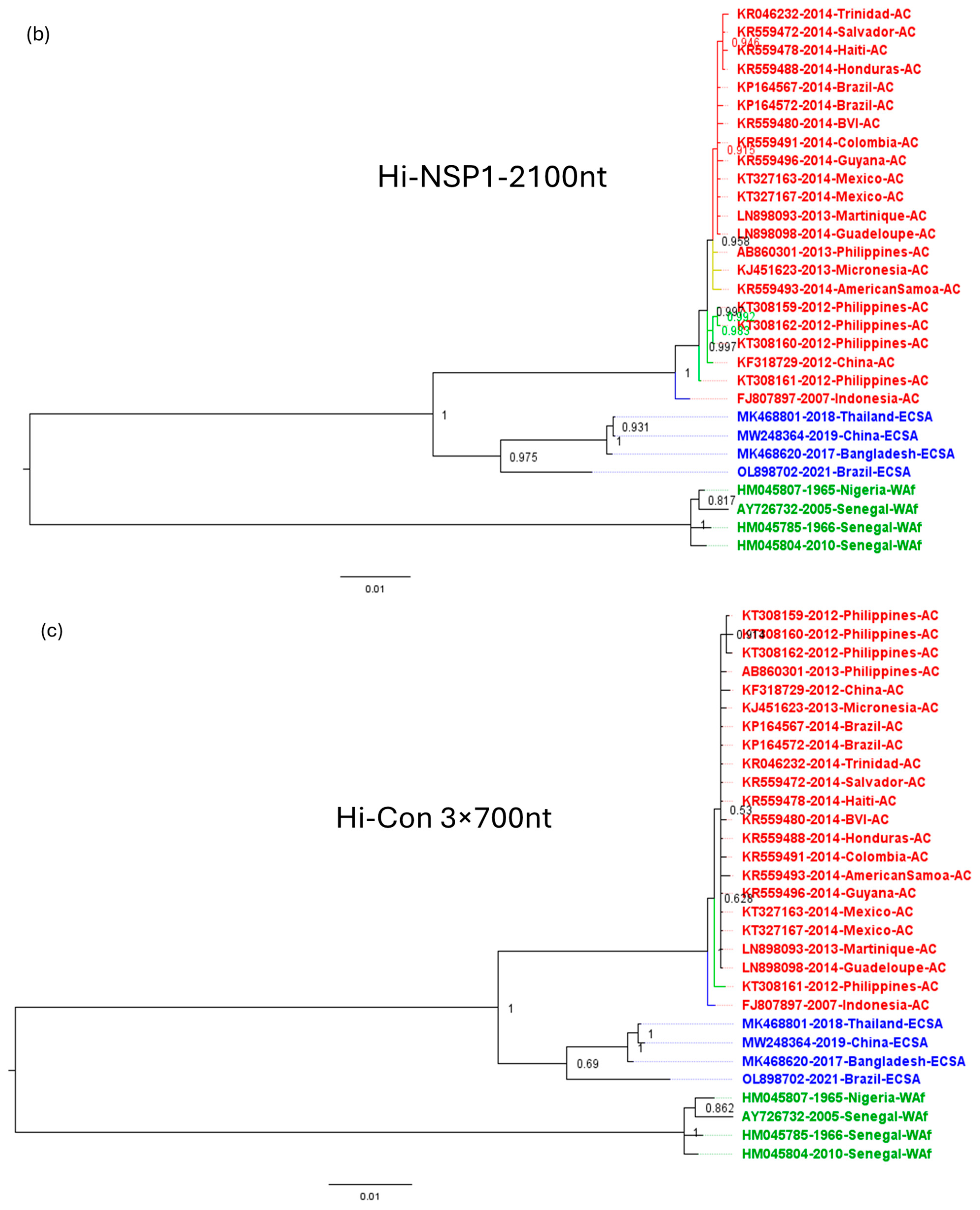 Viruses 16 00926 g005b