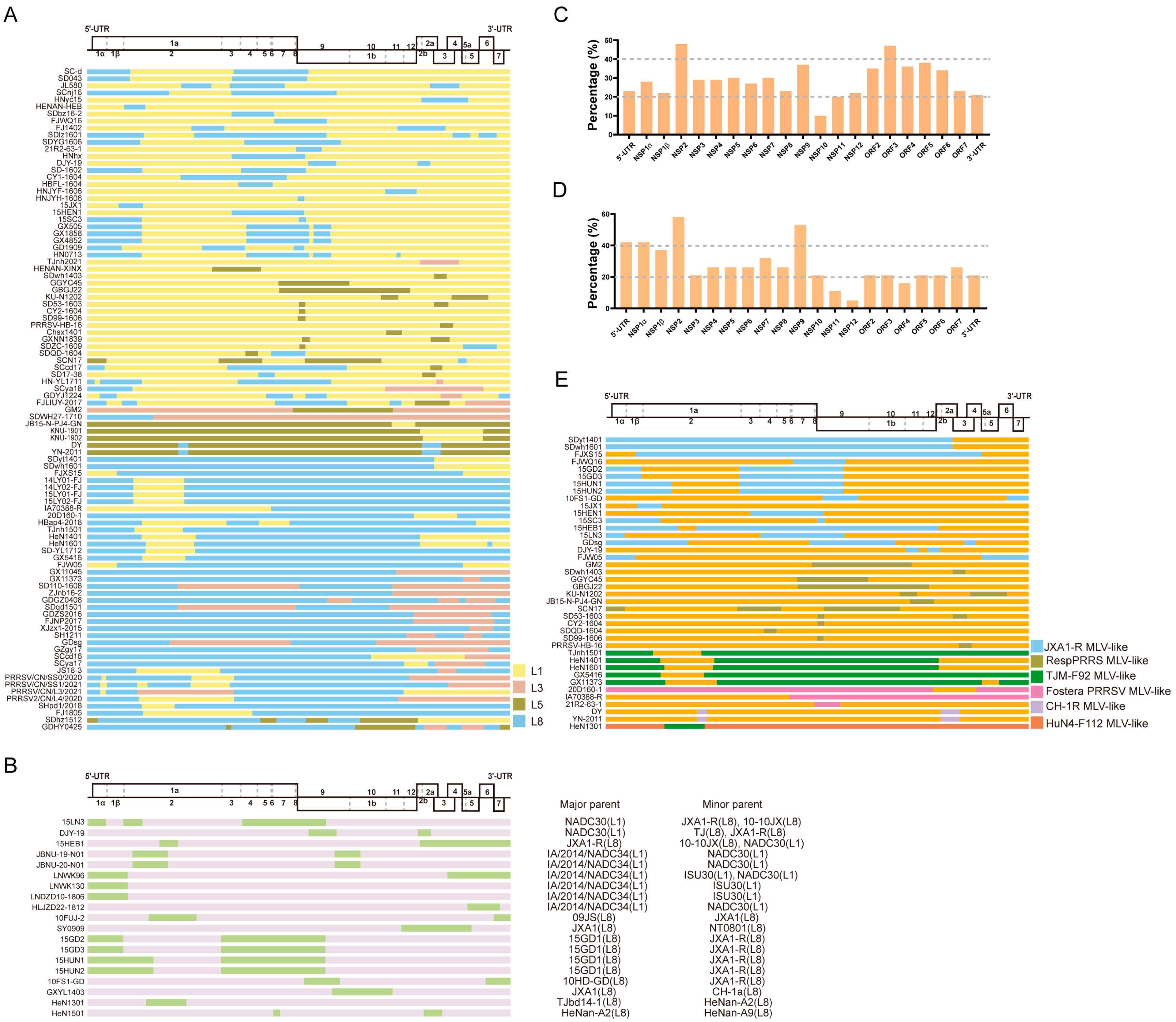 Viruses 16 00929 g001